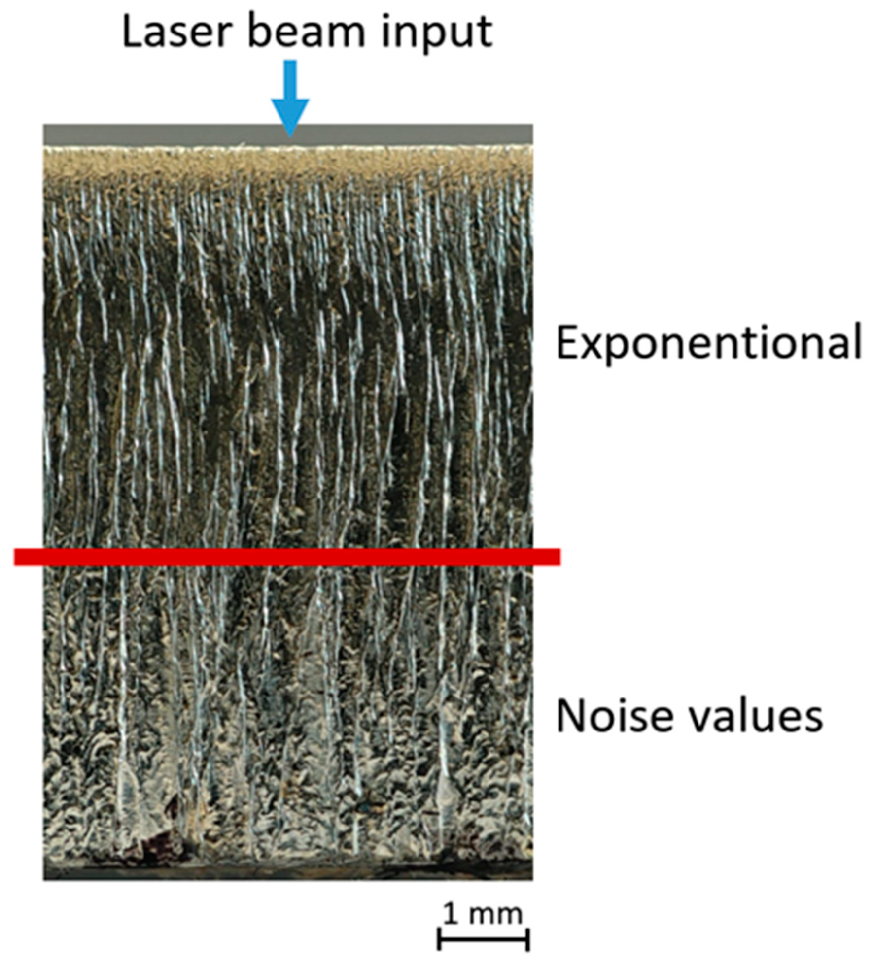 Coatings 14 00471 g008