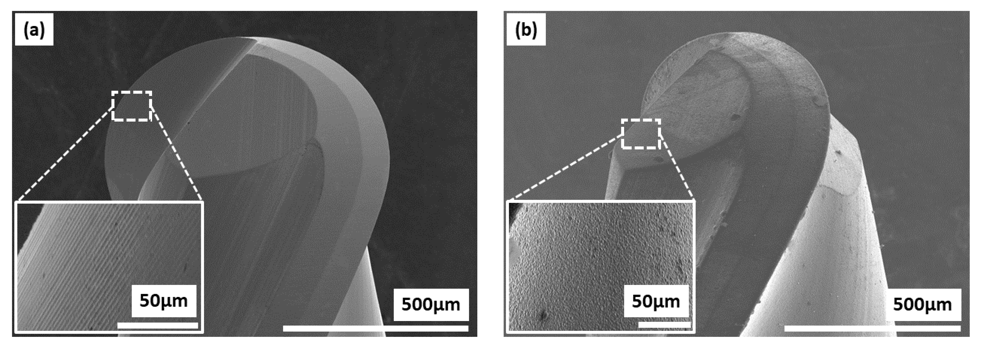 Coatings 14 00473 g005