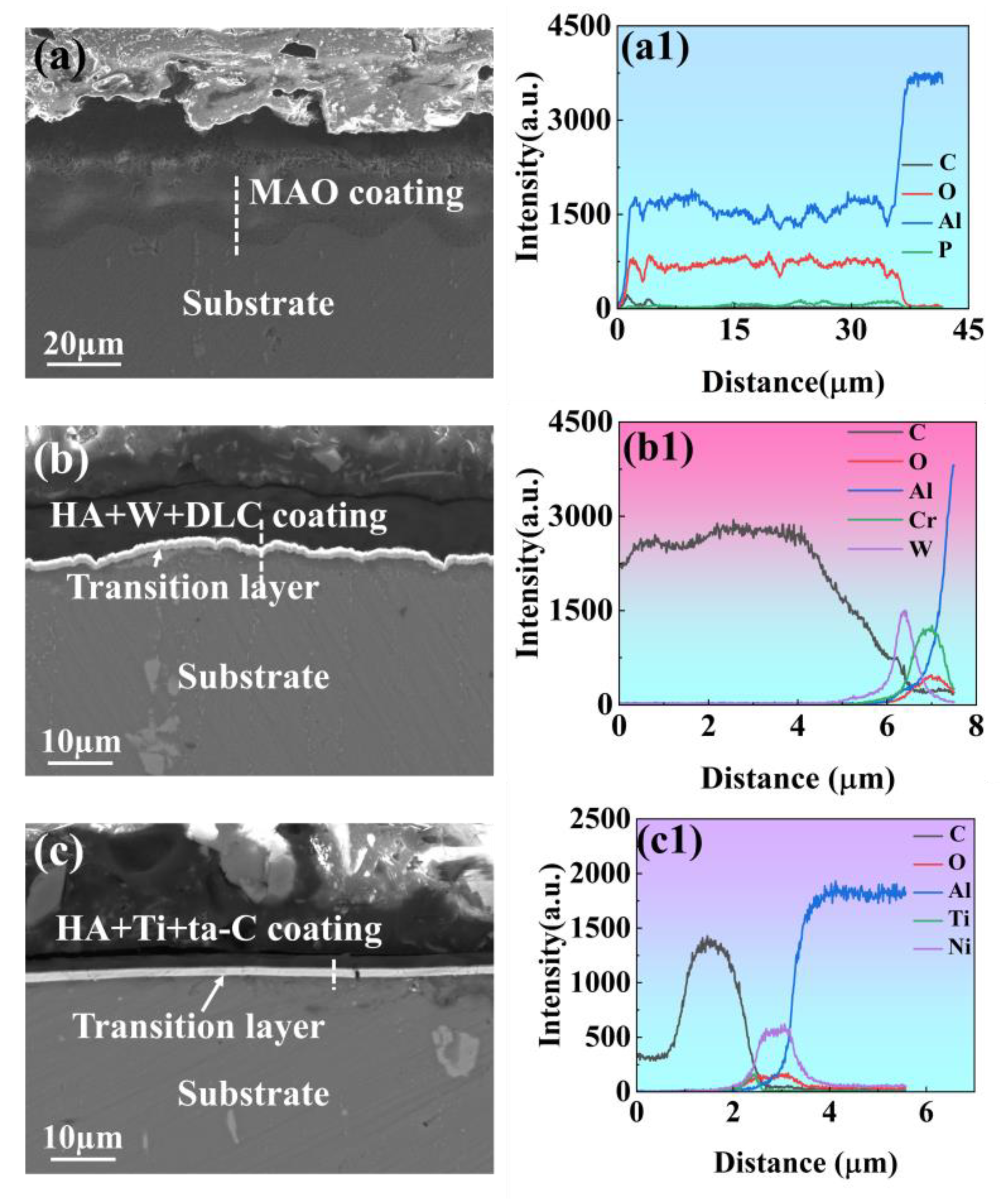 Coatings 14 00476 g008
