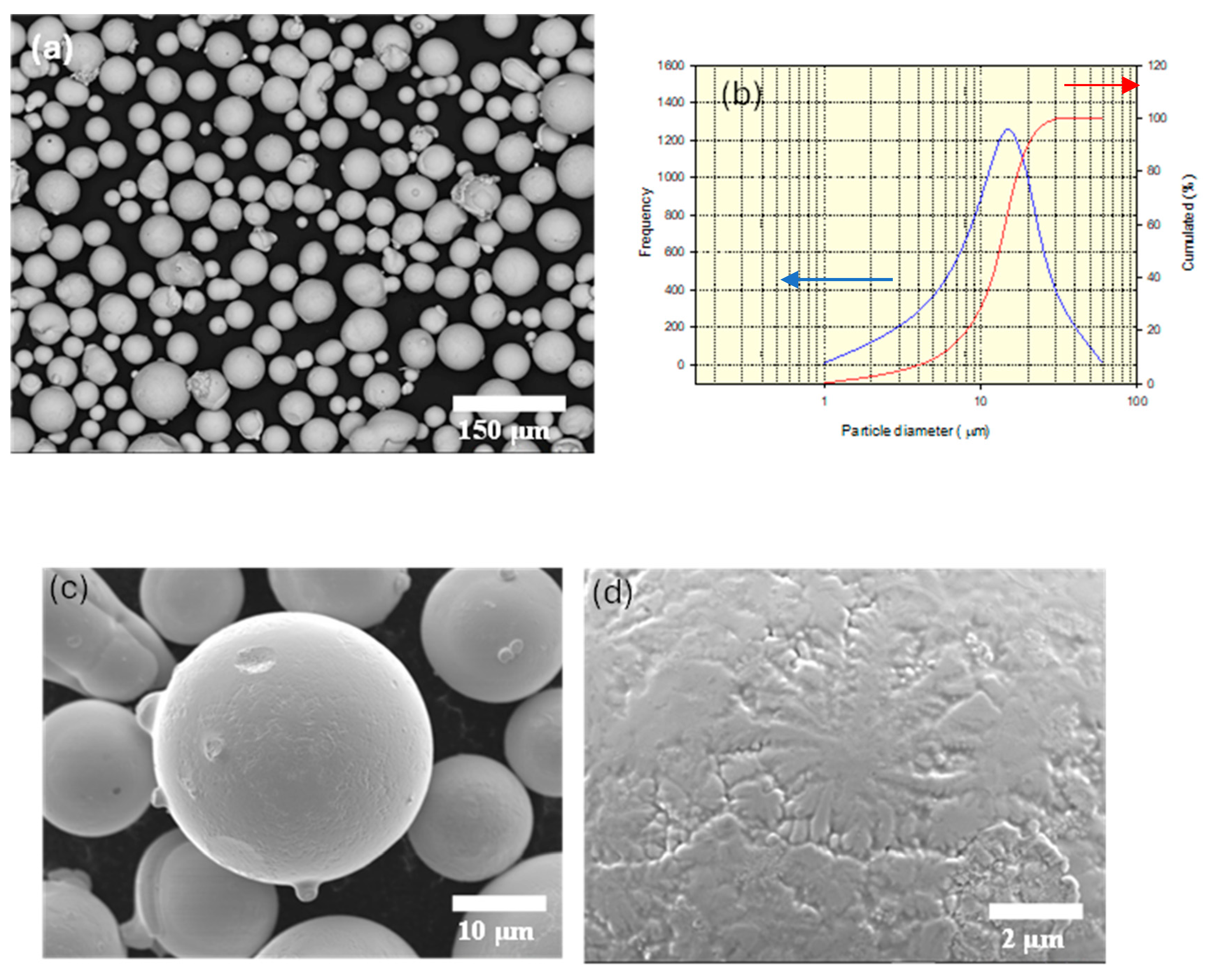 Coatings 14 00479 g001