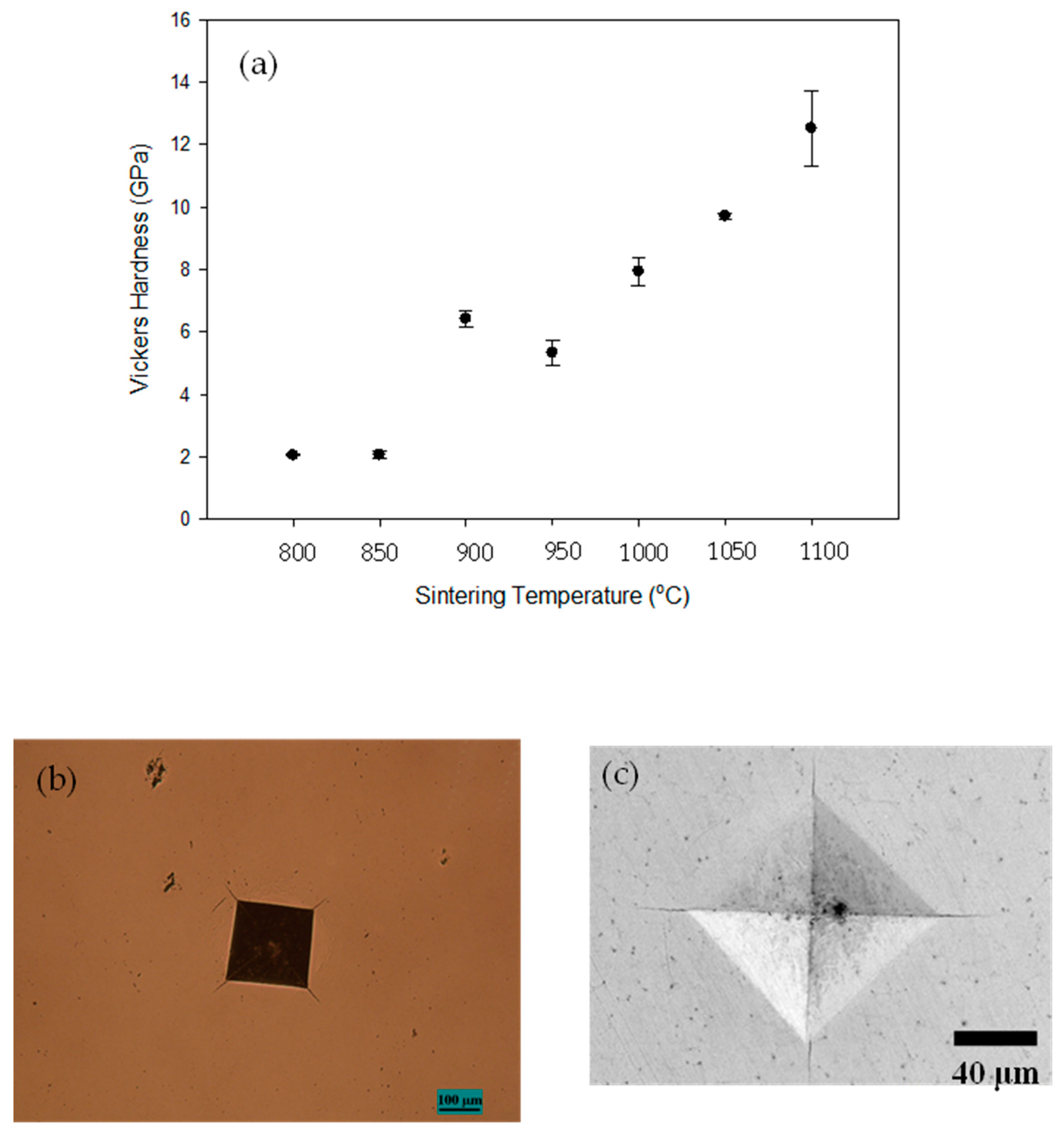Coatings 14 00479 g008