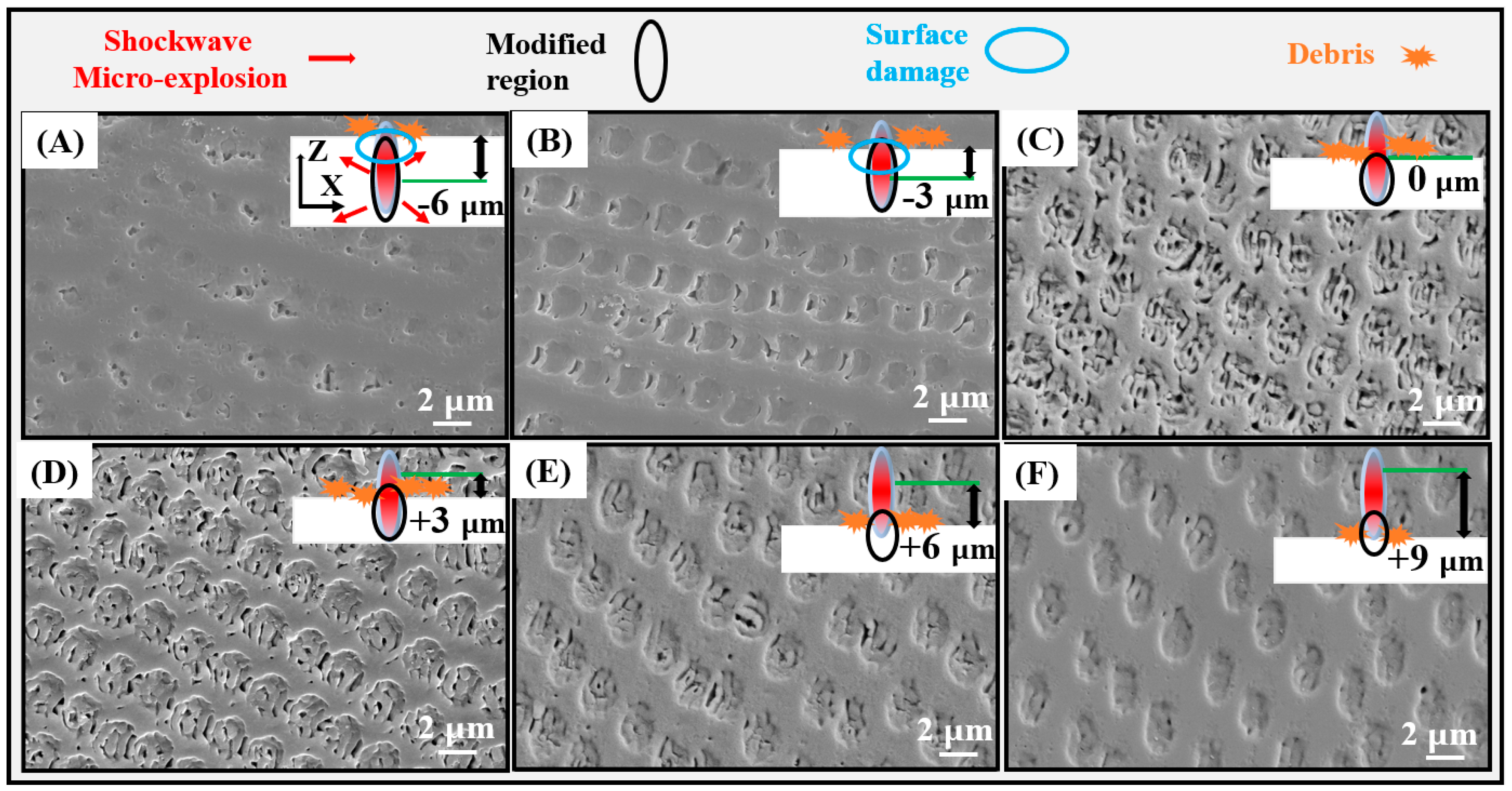 Coatings 14 00481 g002