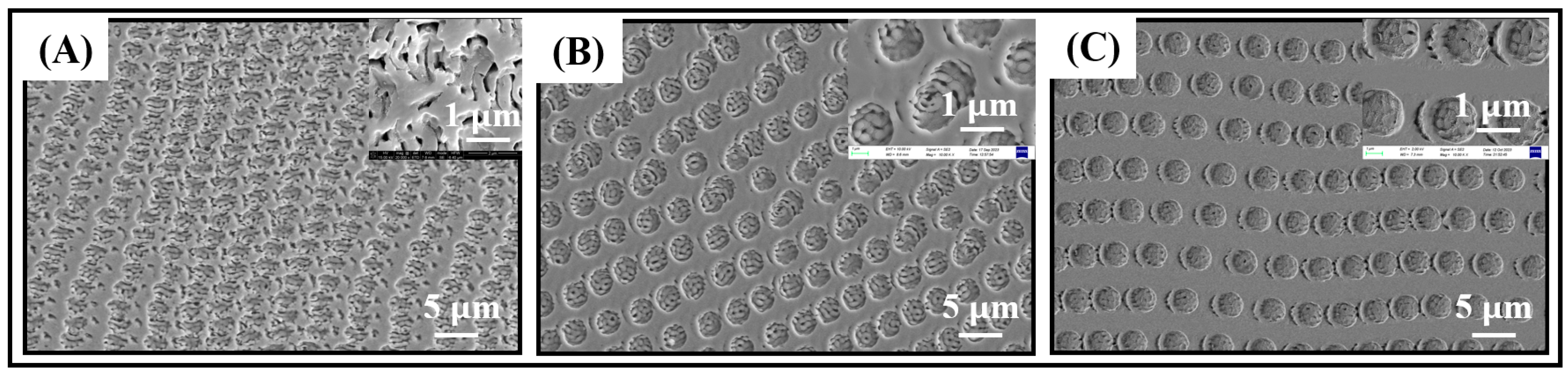 Coatings 14 00481 g004