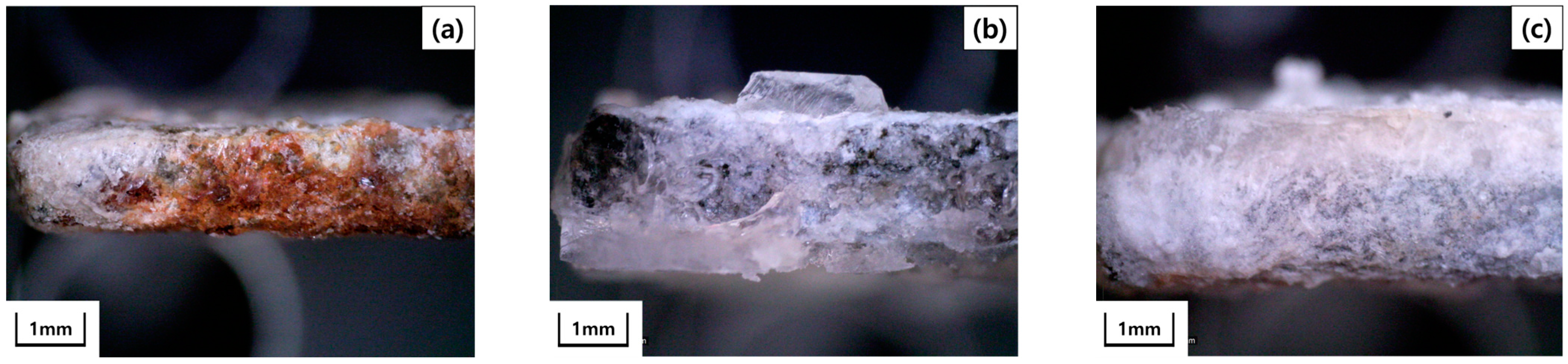 Coatings 14 00485 g003