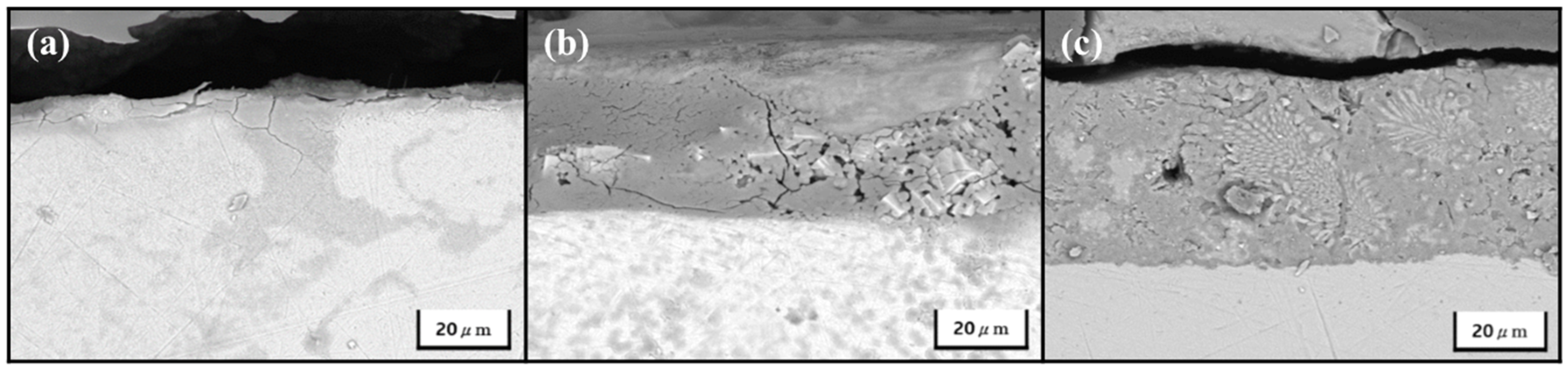 Coatings 14 00485 g005