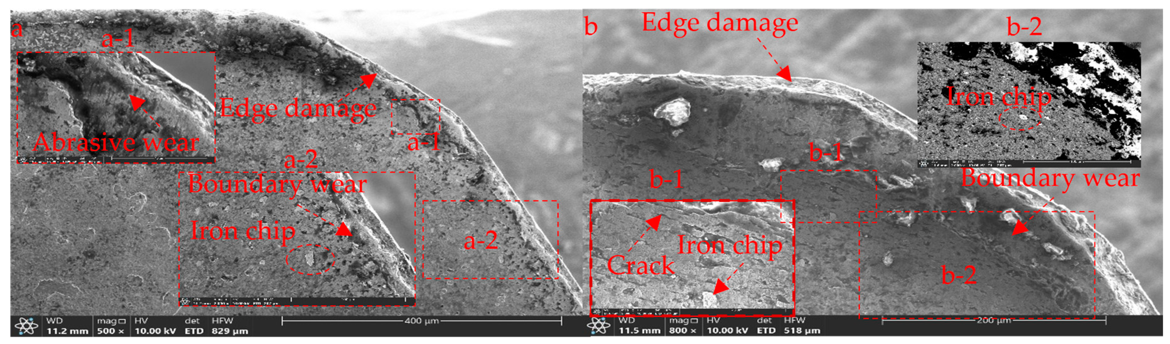 Coatings 14 00486 g010