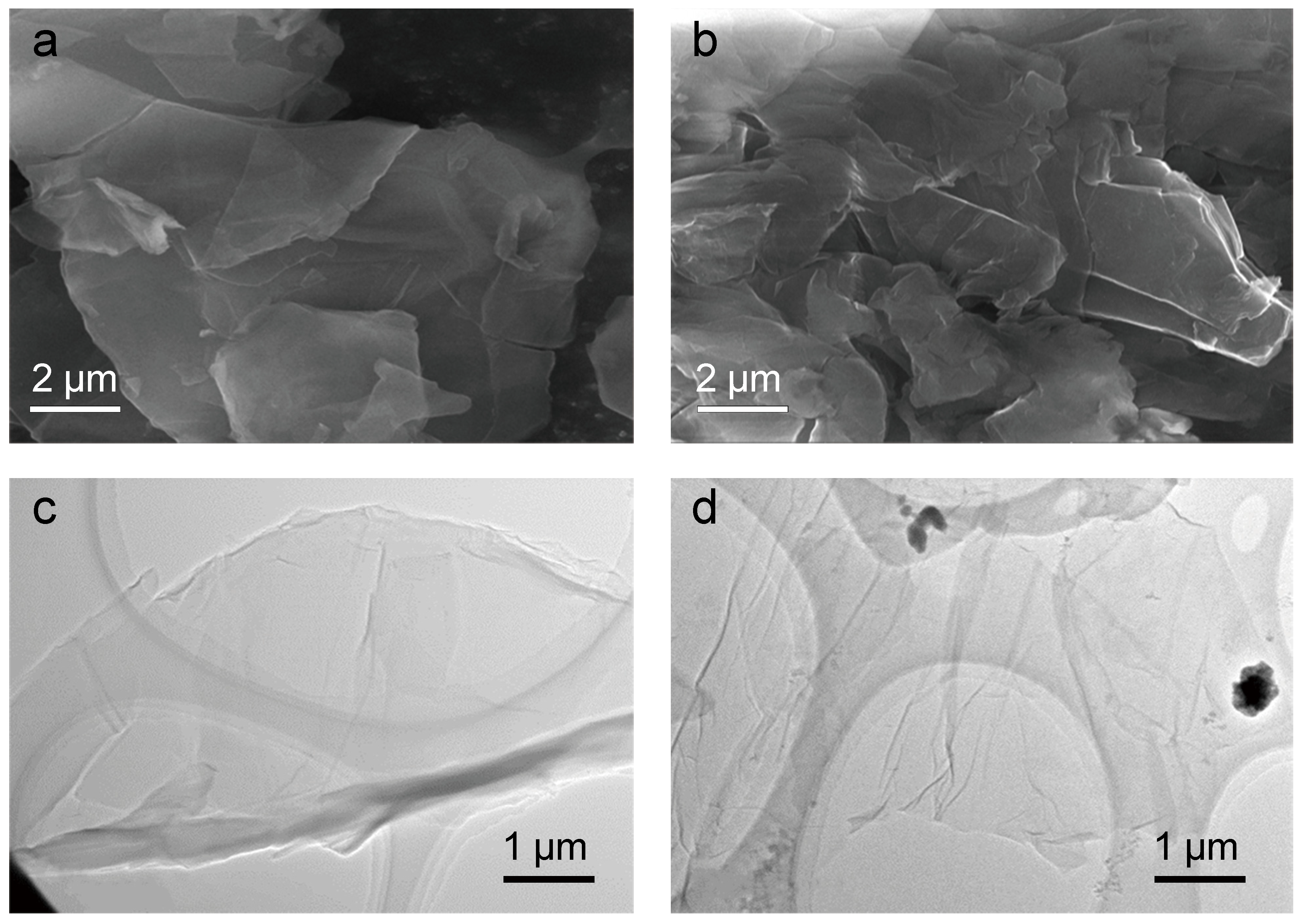 Coatings 14 00488 g003