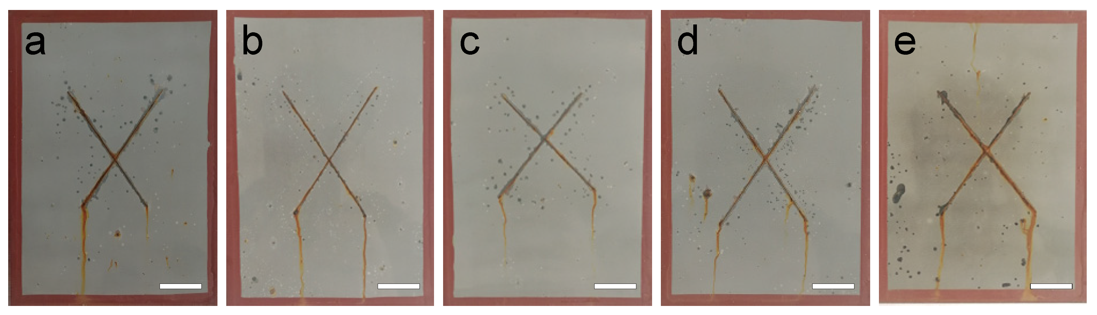 Coatings 14 00488 g006