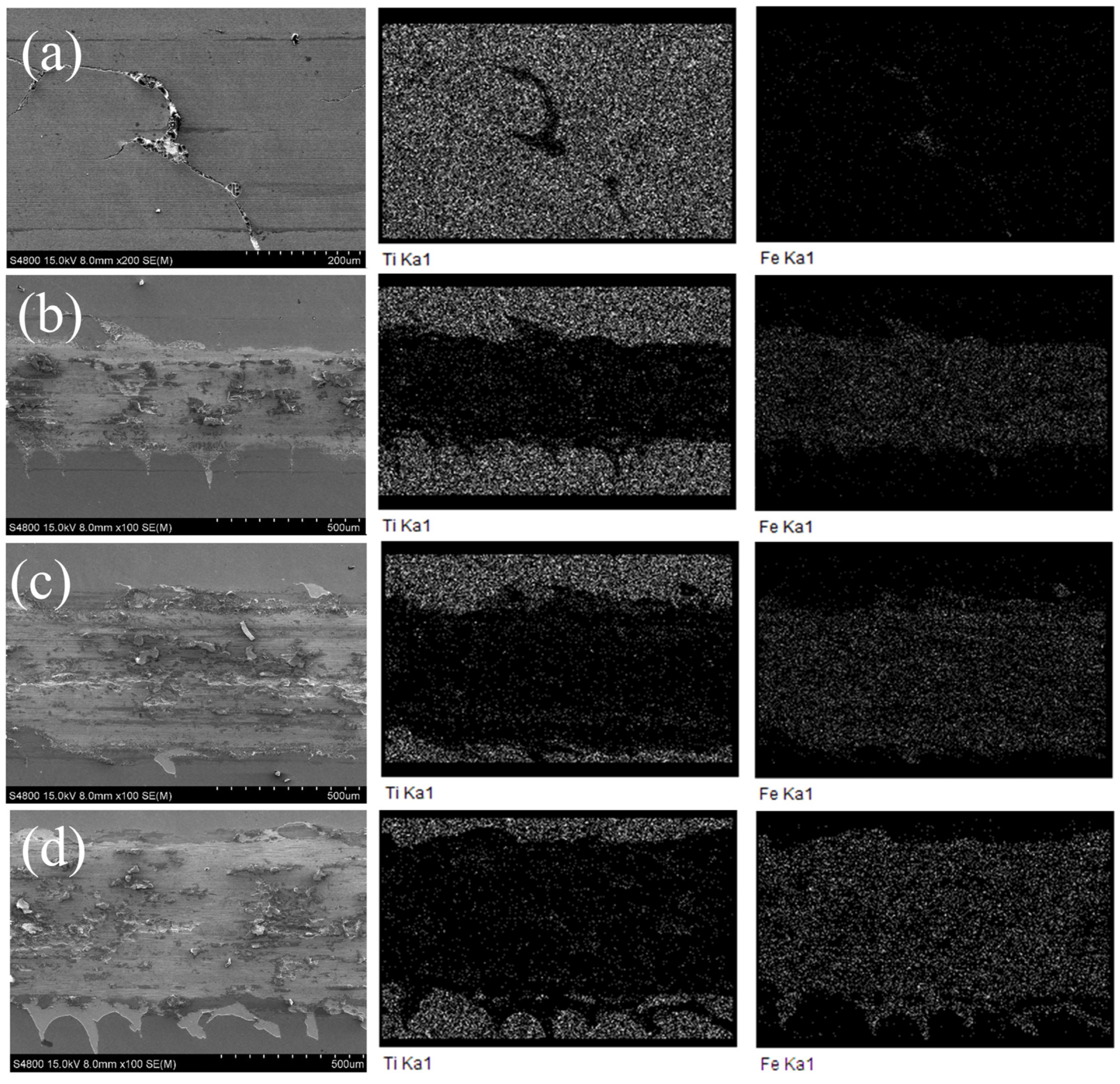 Coatings 14 00492 g010