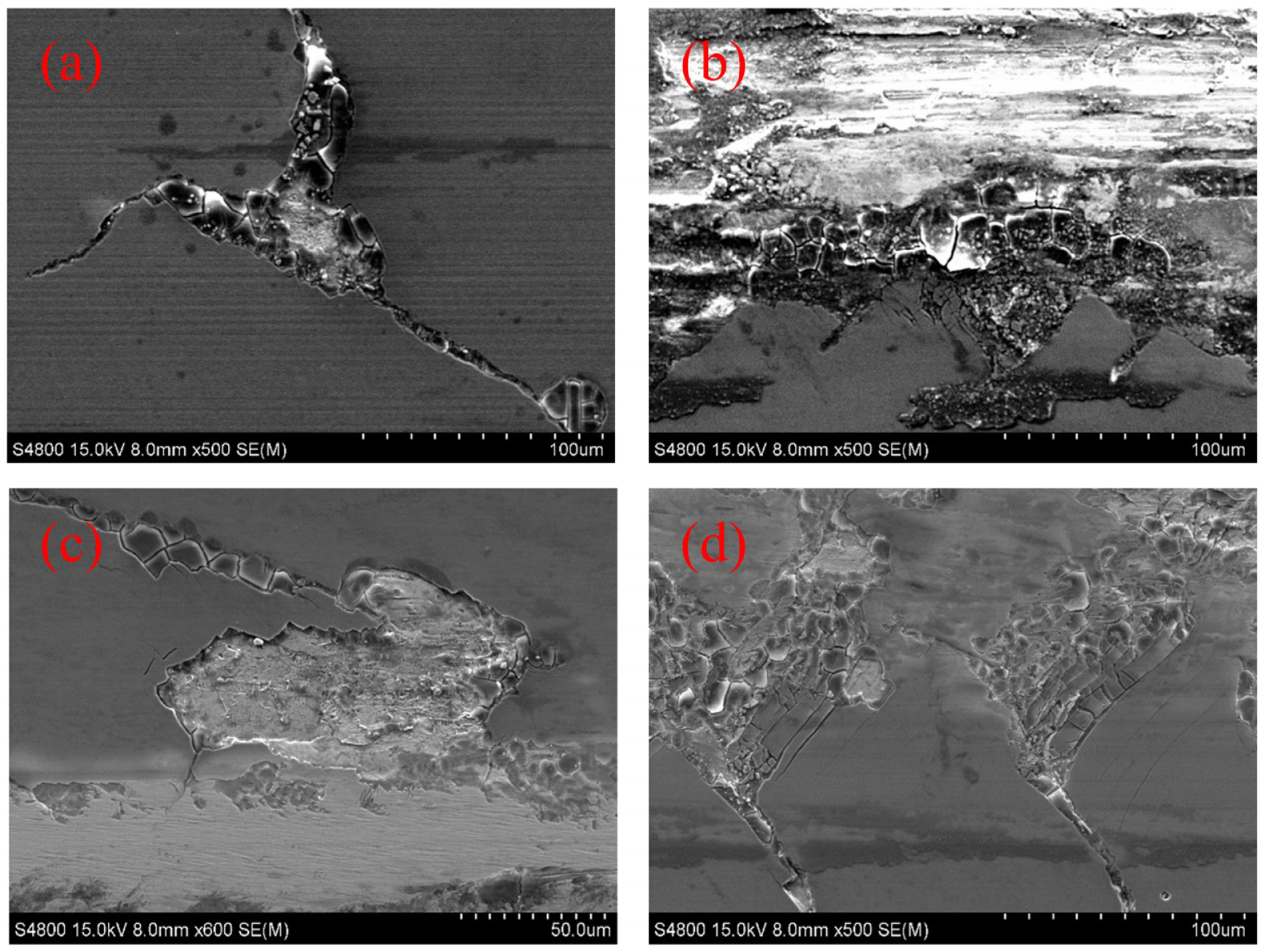 Coatings 14 00492 g016
