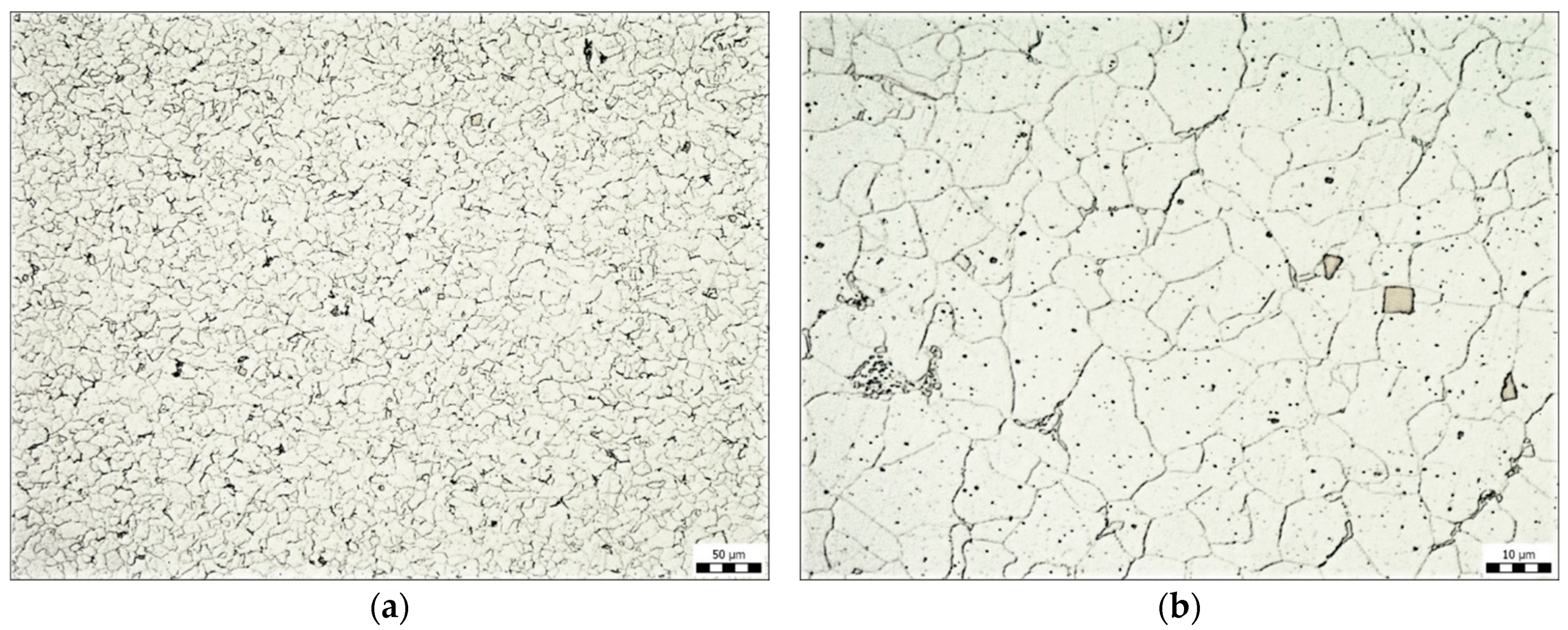 Coatings 14 00493 g002