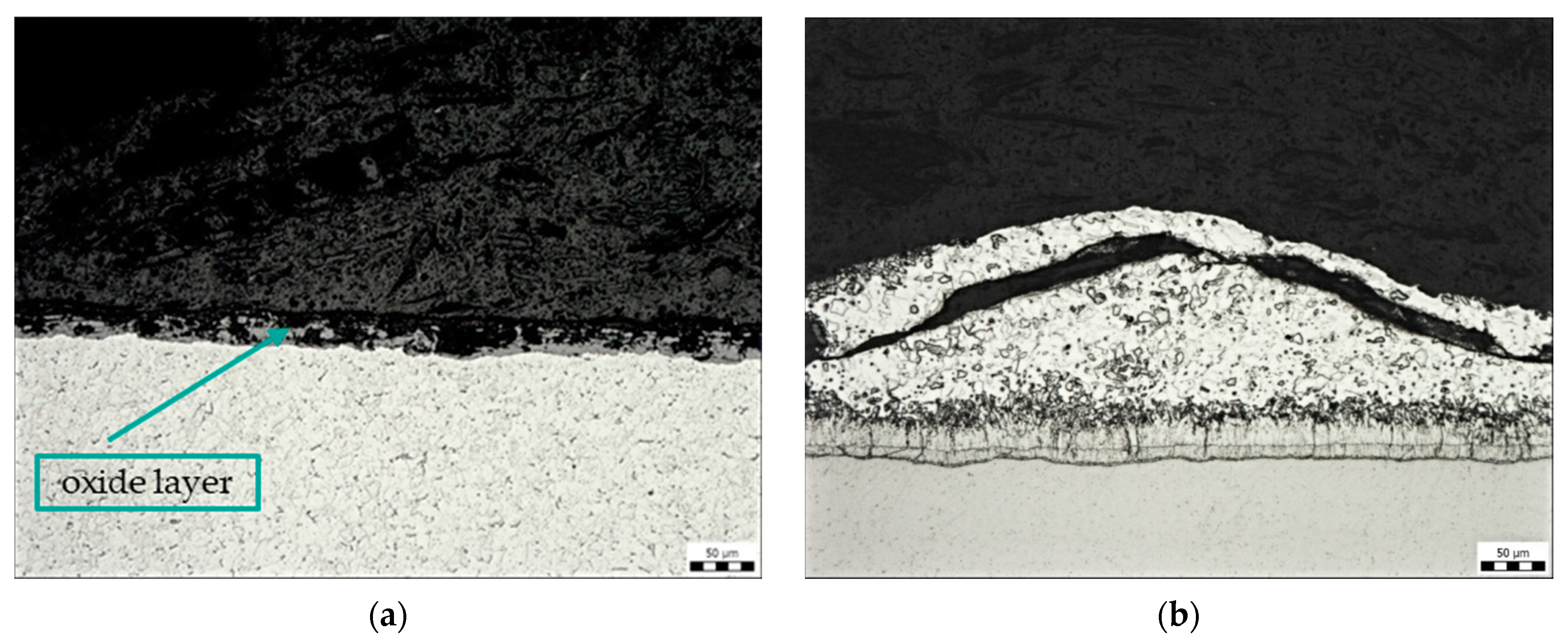 Coatings 14 00493 g007
