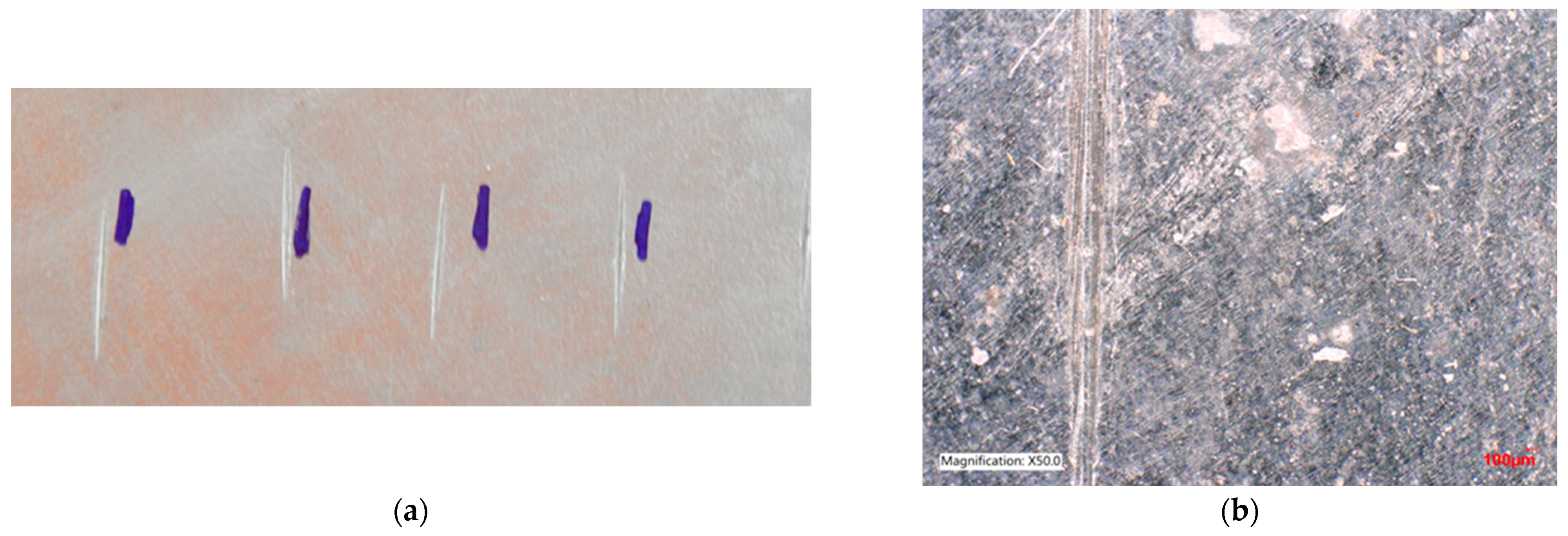 Coatings 14 00493 g013