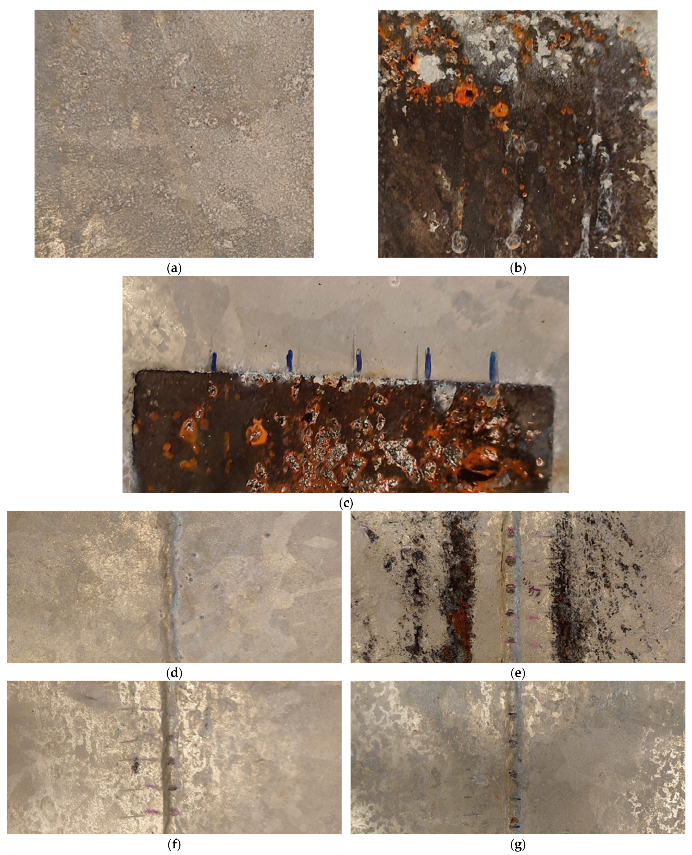 Coatings 14 00493 g016