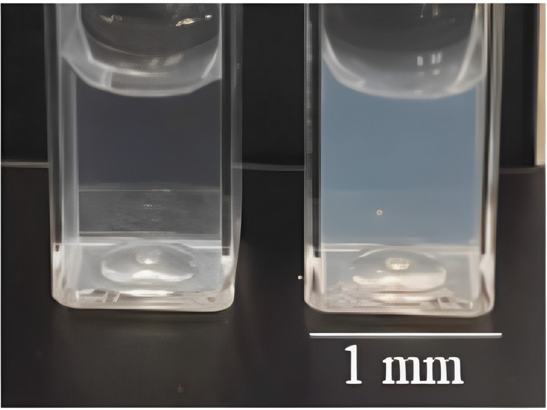 Coatings 14 00495 g001
