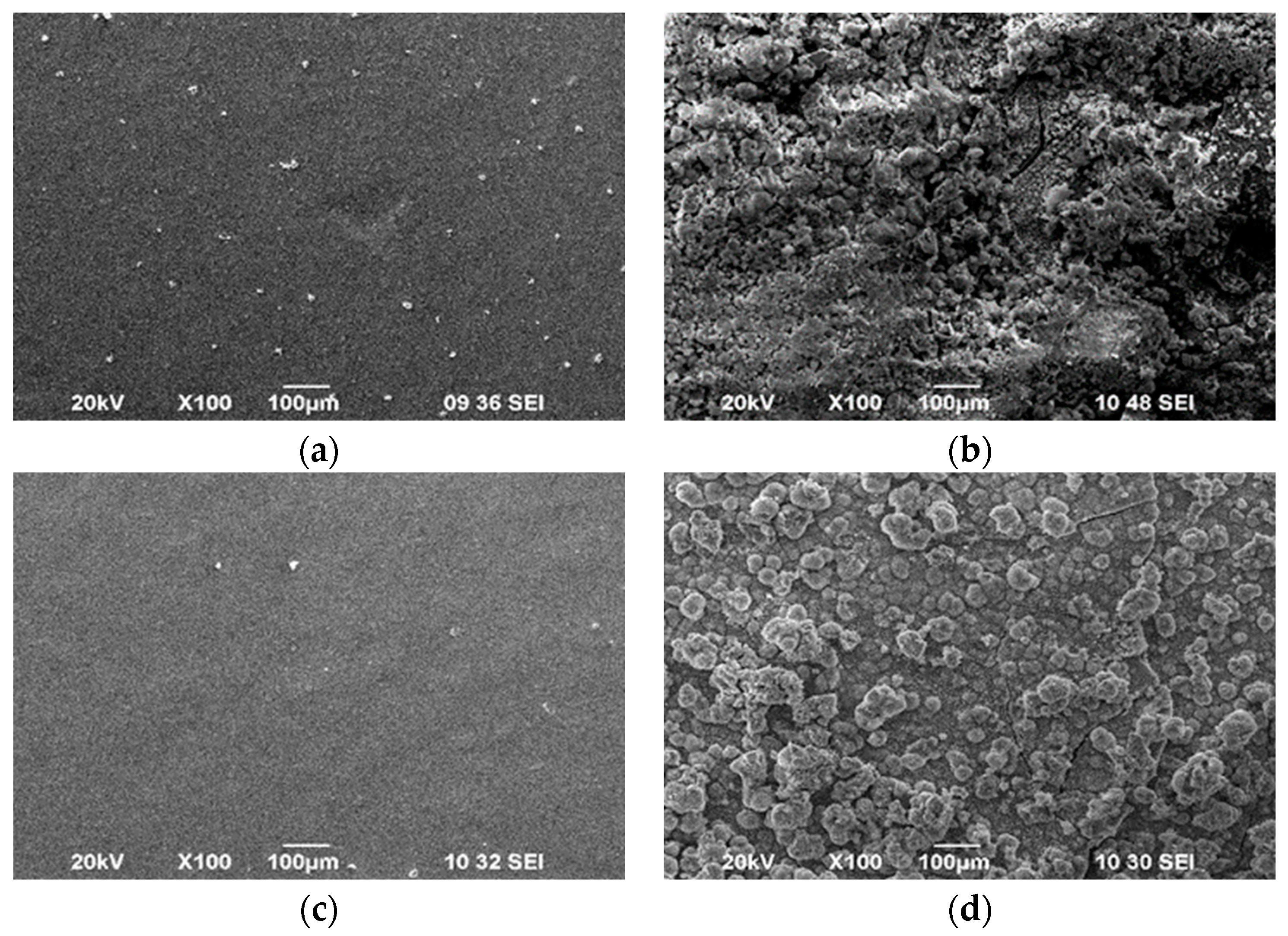 Coatings 14 00495 g004