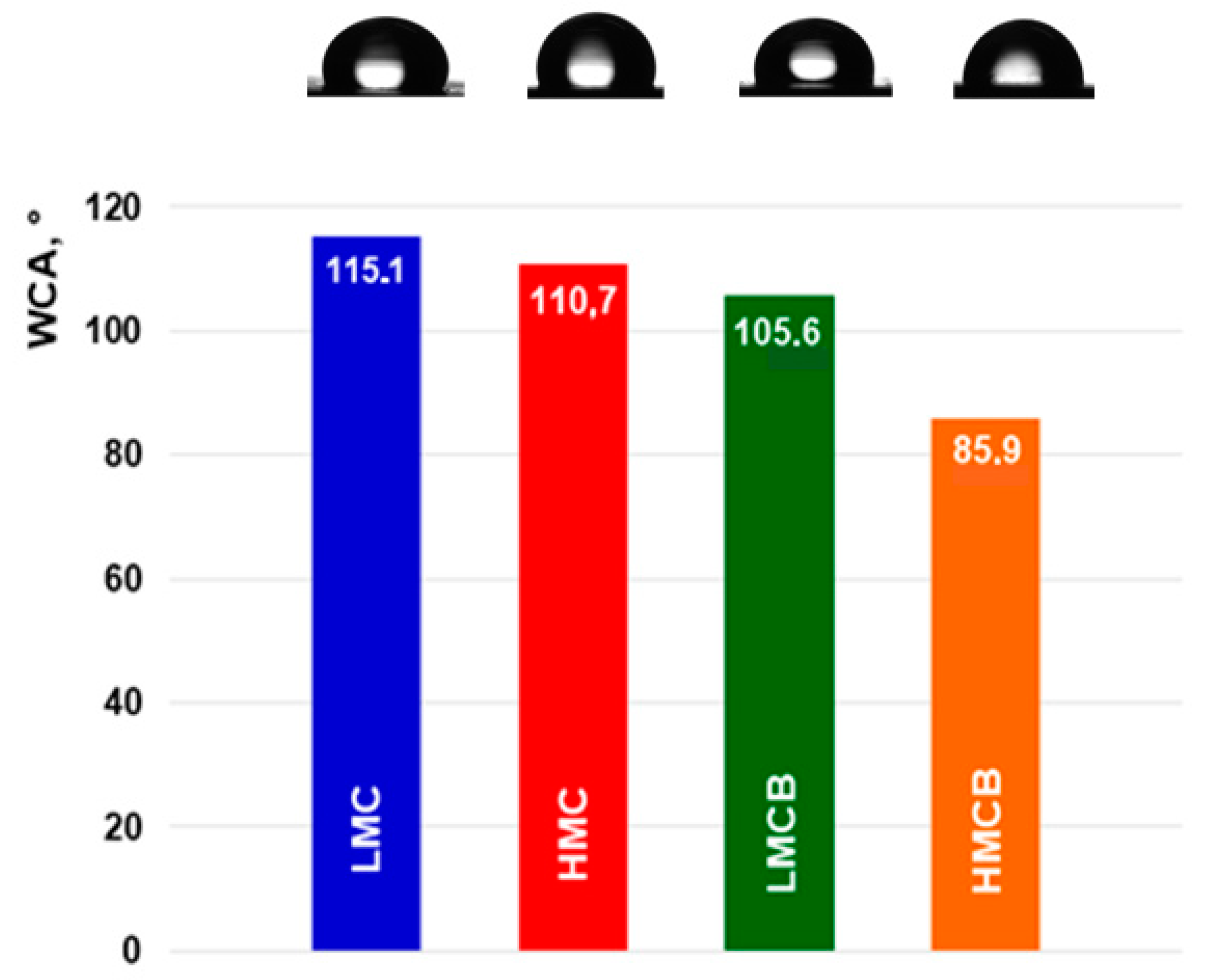 Coatings 14 00495 g013