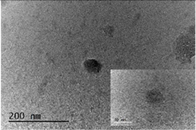 Coatings 14 00495 i002