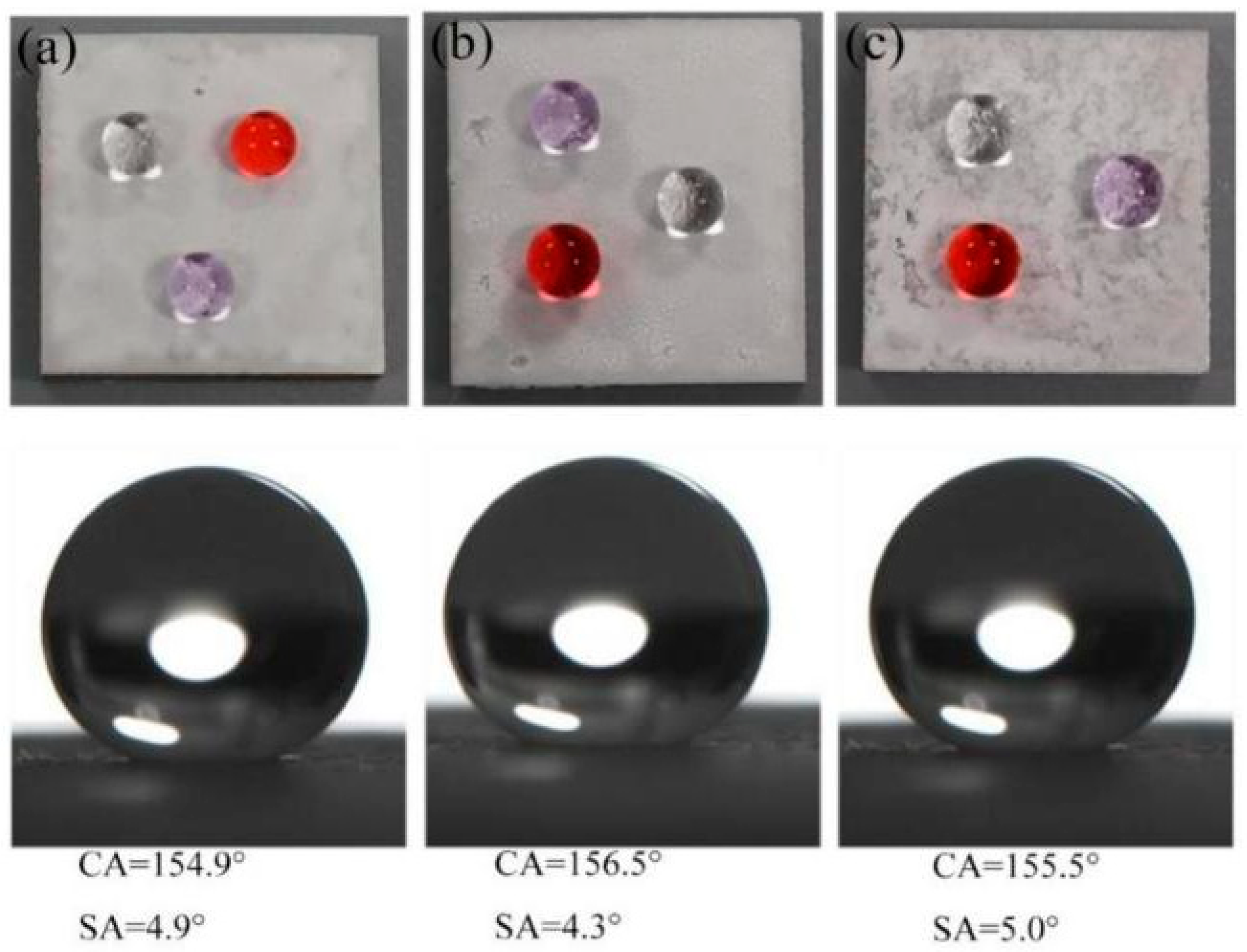 Coatings 14 00499 g002
