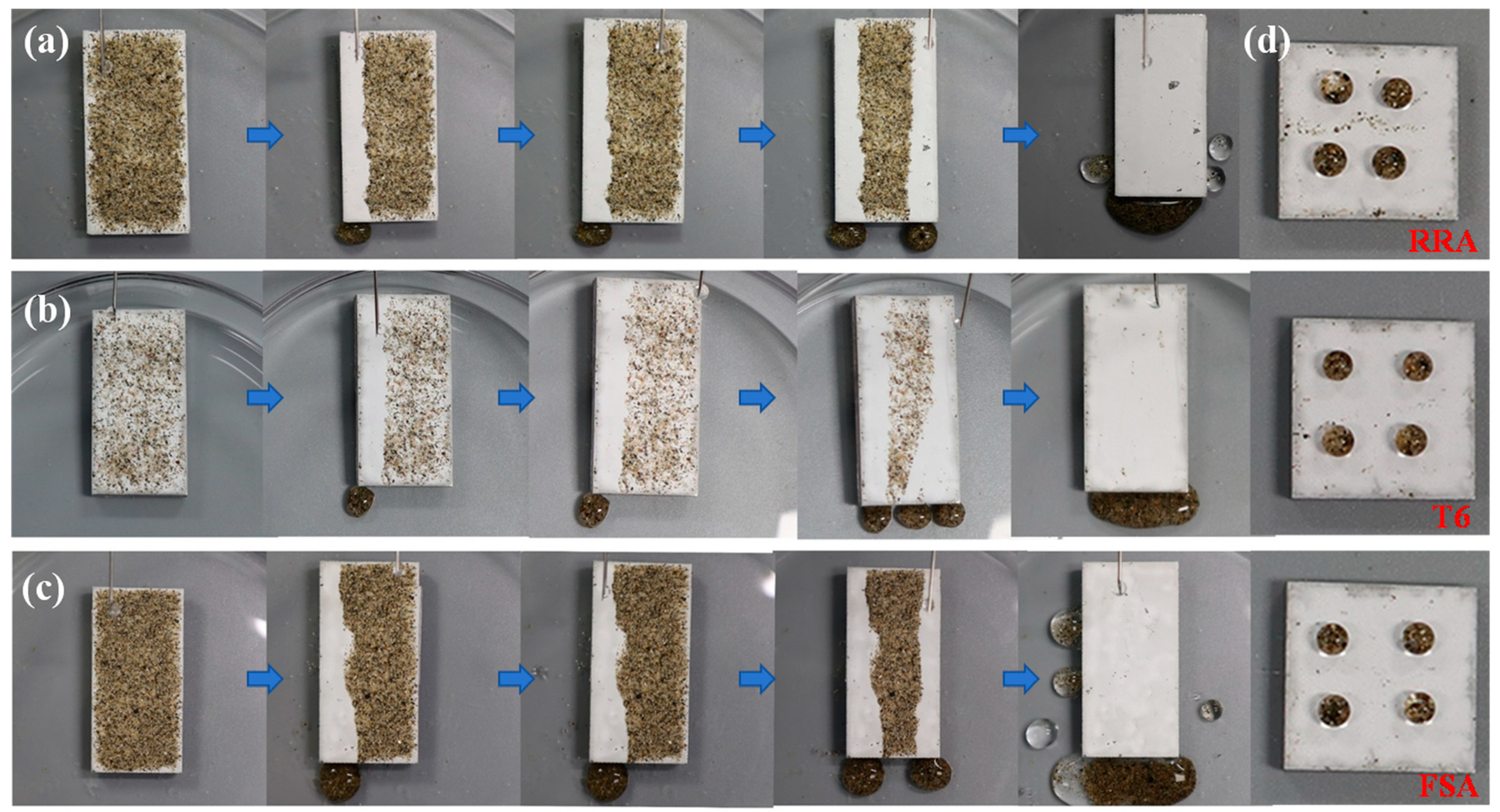 Coatings 14 00499 g006