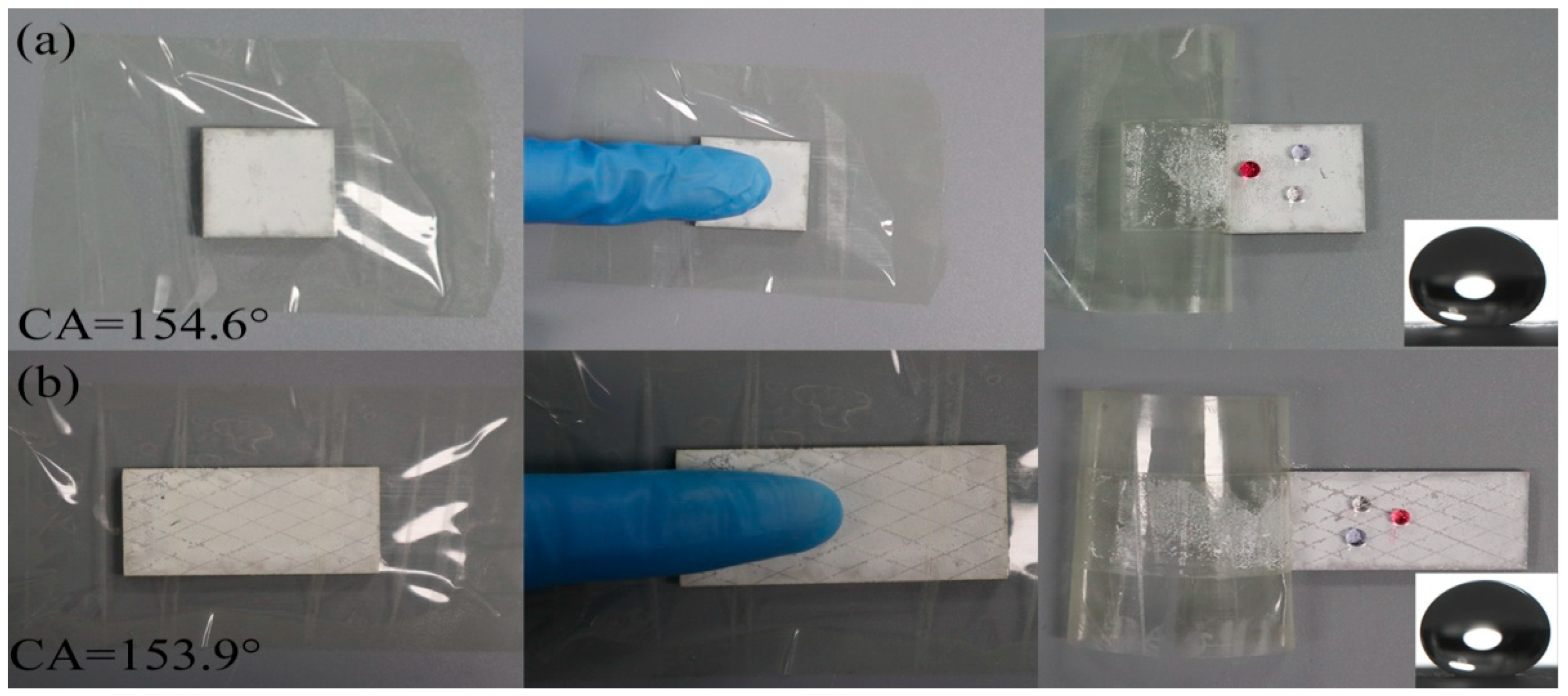 Coatings 14 00499 g007