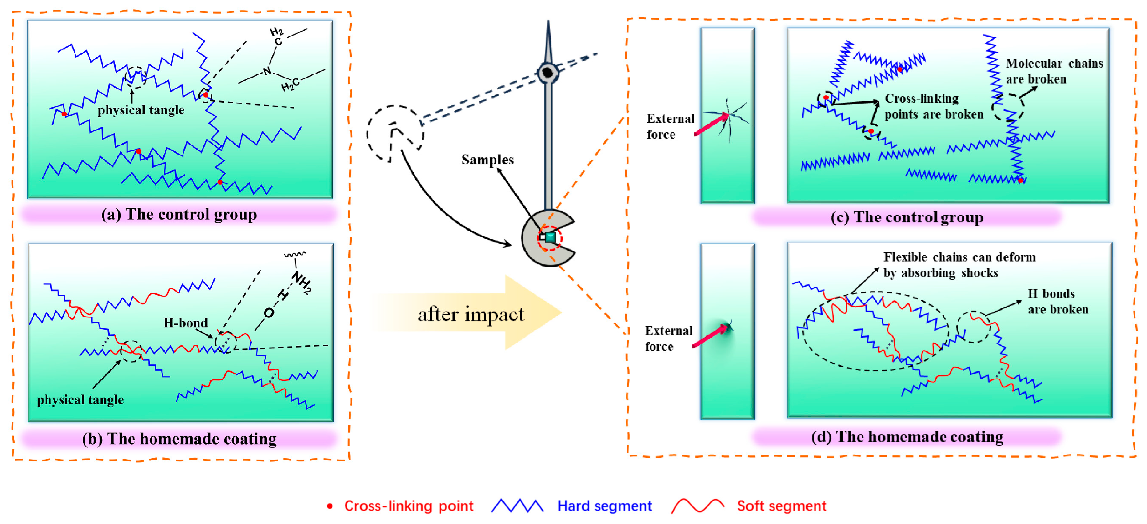 Coatings 14 00503 g007