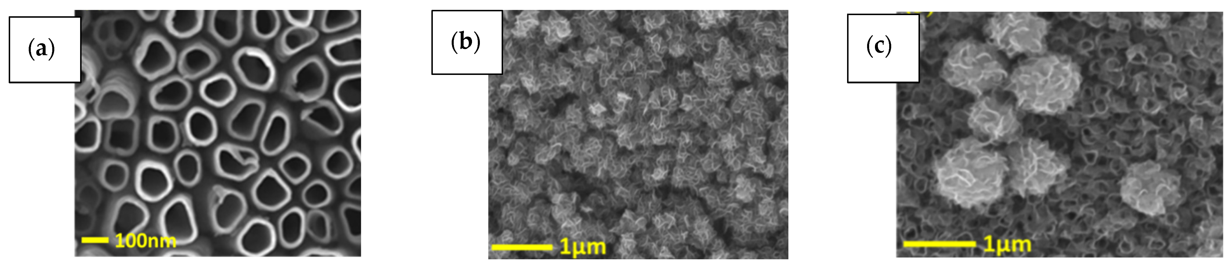 Coatings 14 00552 g003