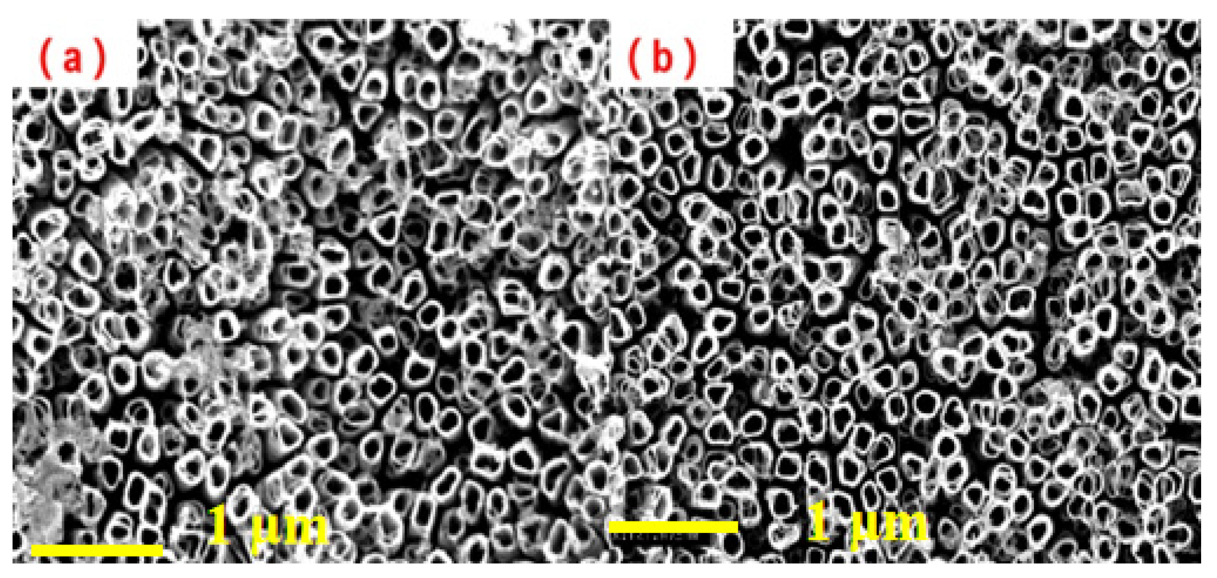 Coatings 14 00552 g004
