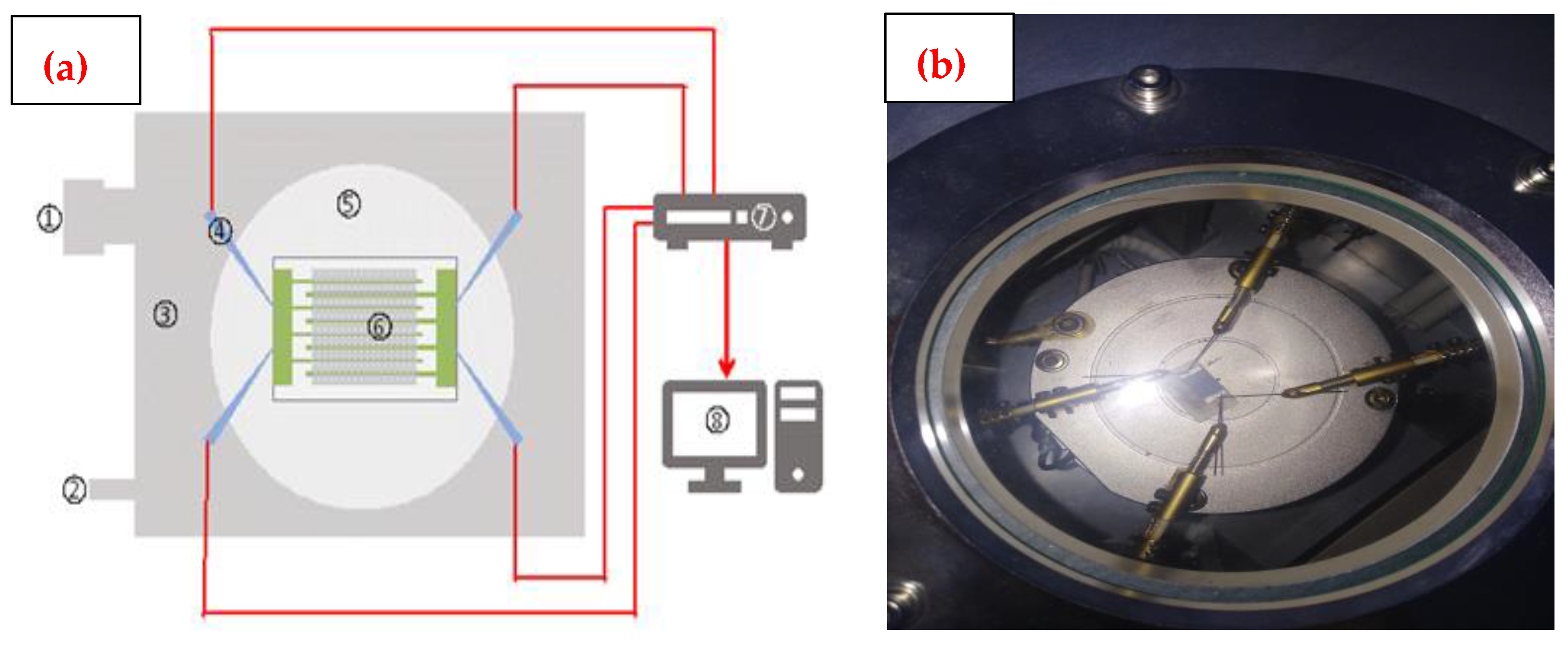 Coatings 14 00553 g001