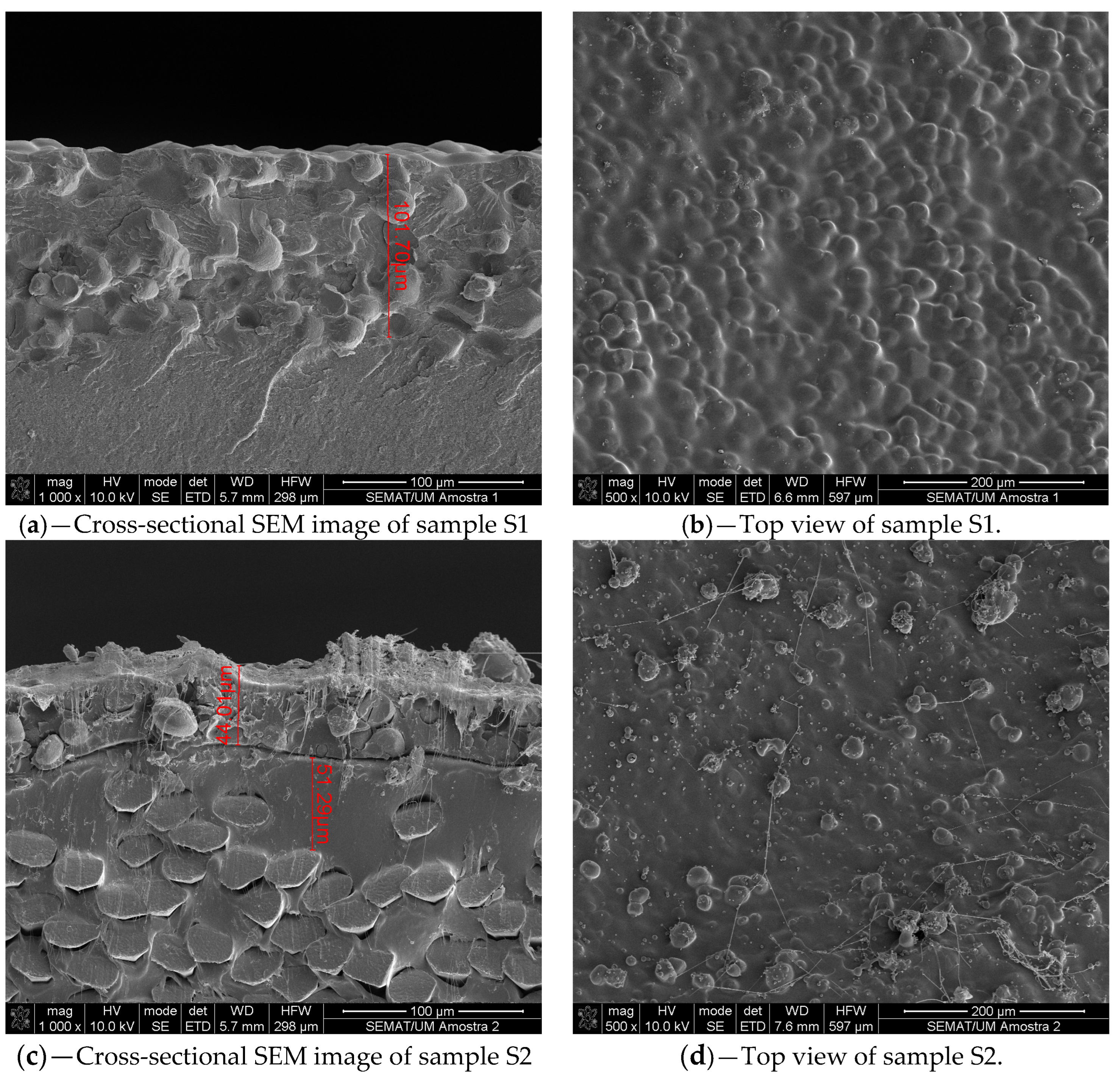 Coatings 14 00554 g005a Coatings 14 00554 g005a