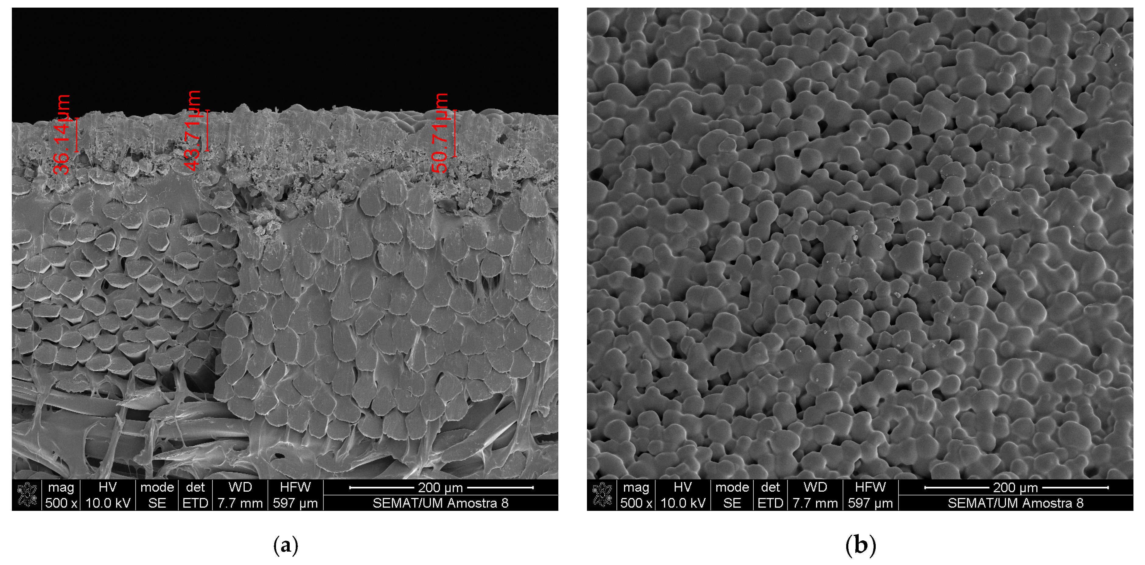 Coatings 14 00554 g013 Coatings 14 00554 g013