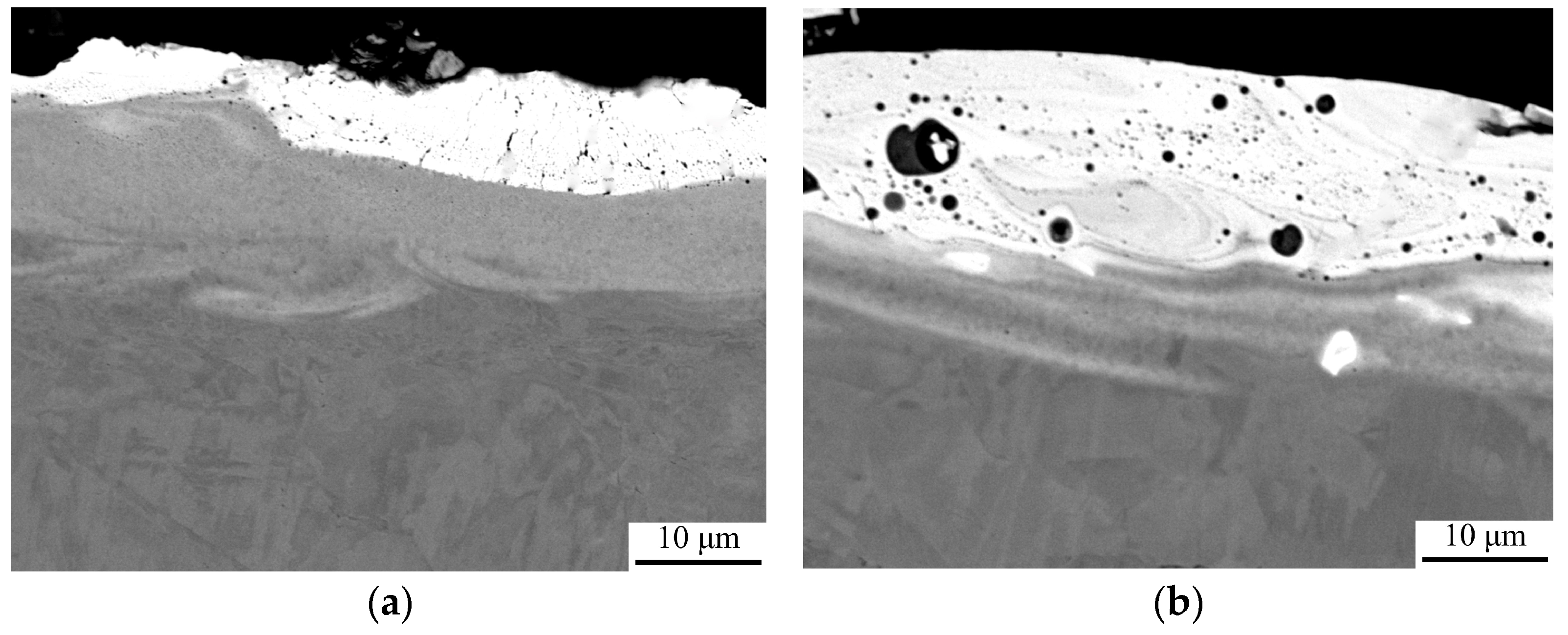 Coatings 14 00563 g005