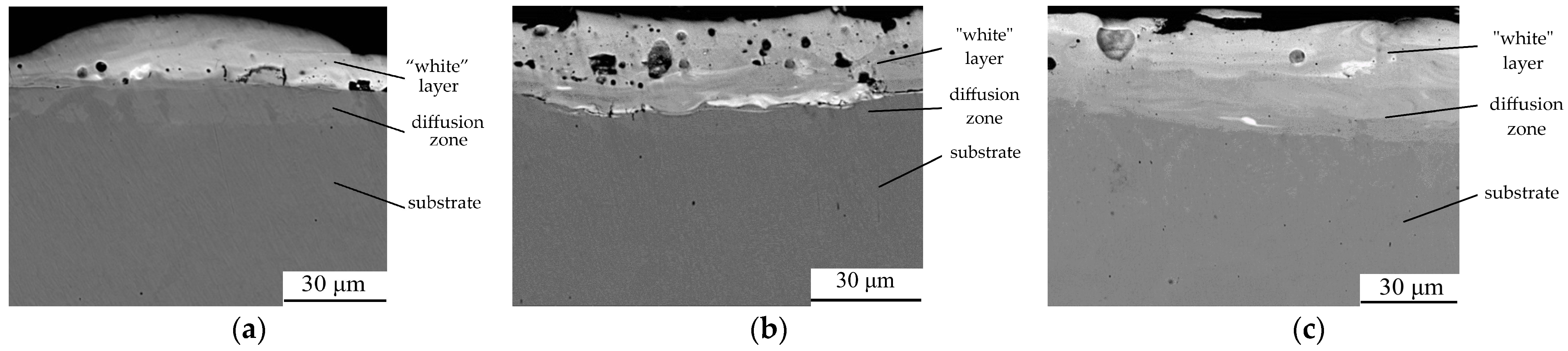 Coatings 14 00563 g008