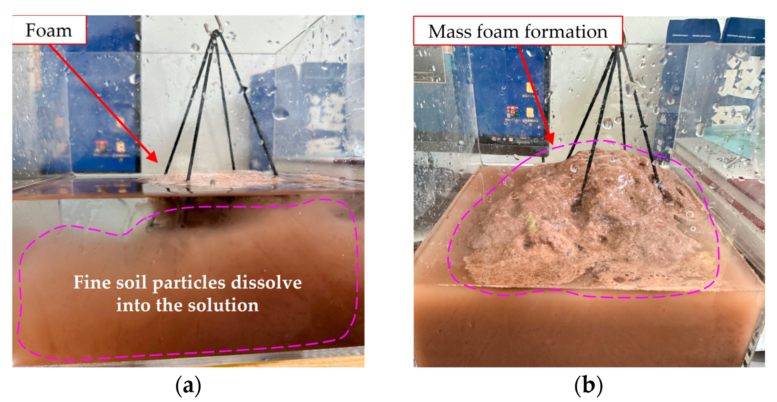 Coatings 14 00567 g014