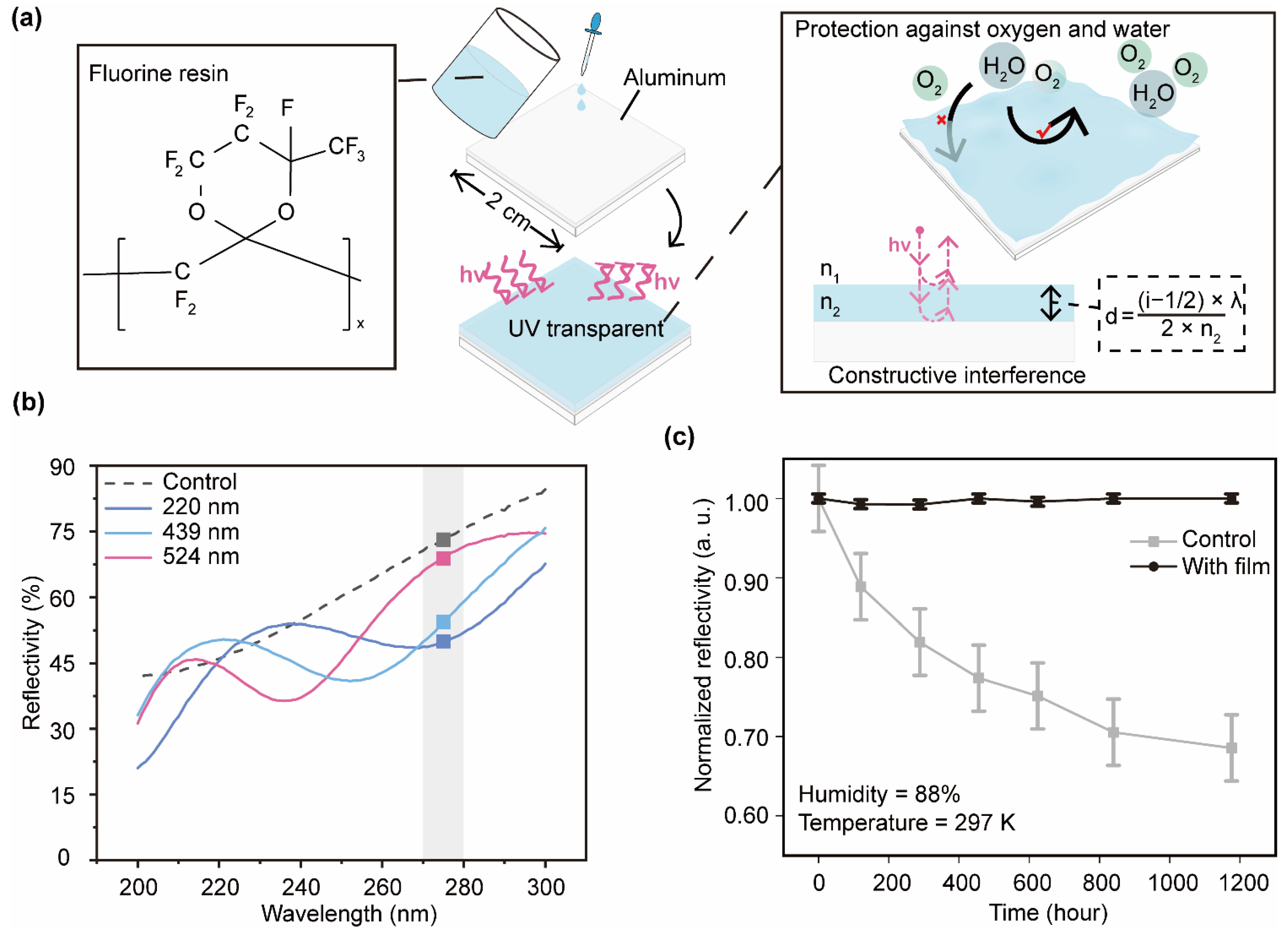 Coatings 14 00568 g006
