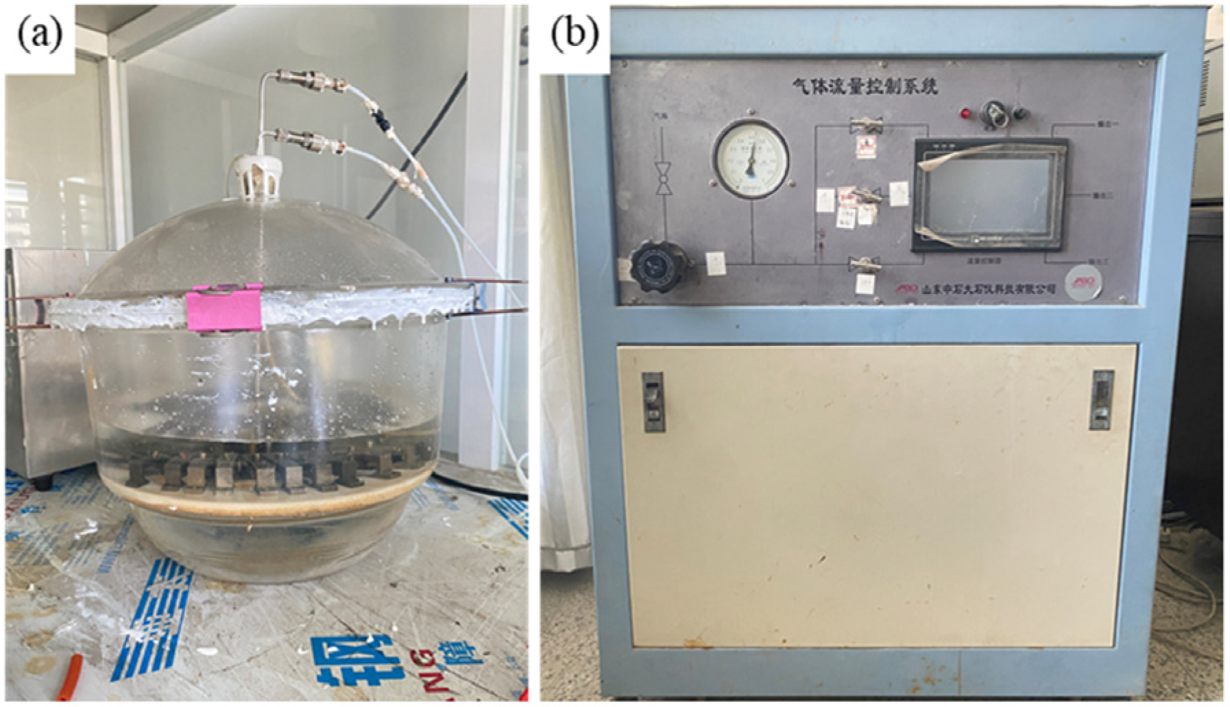 Coatings 14 00588 g001