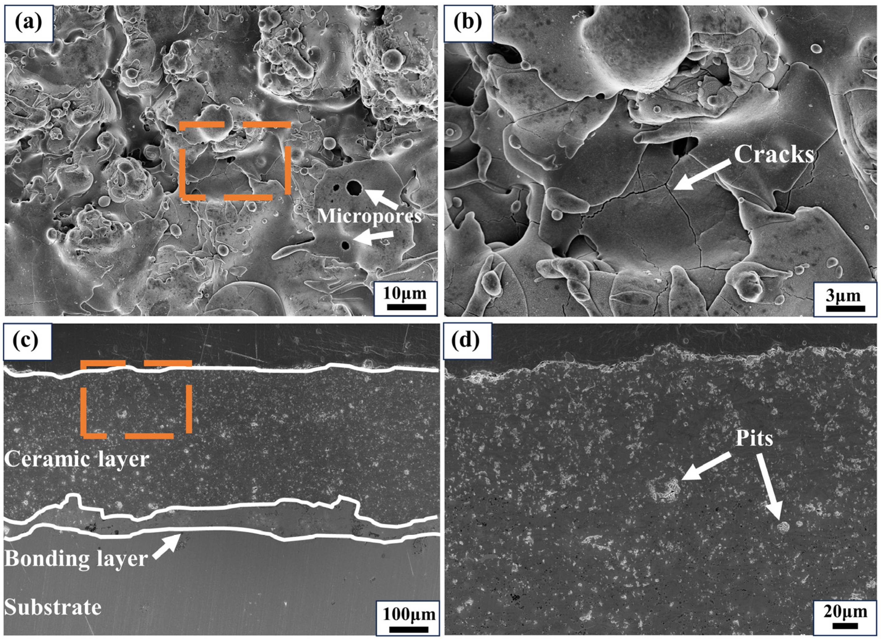 Coatings 14 00588 g003