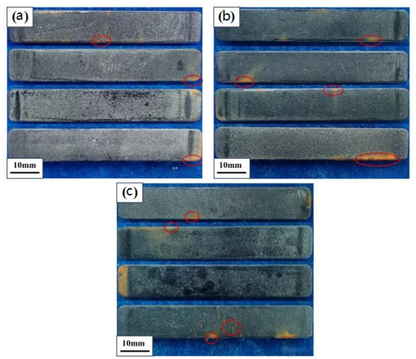 Coatings 14 00588 g008