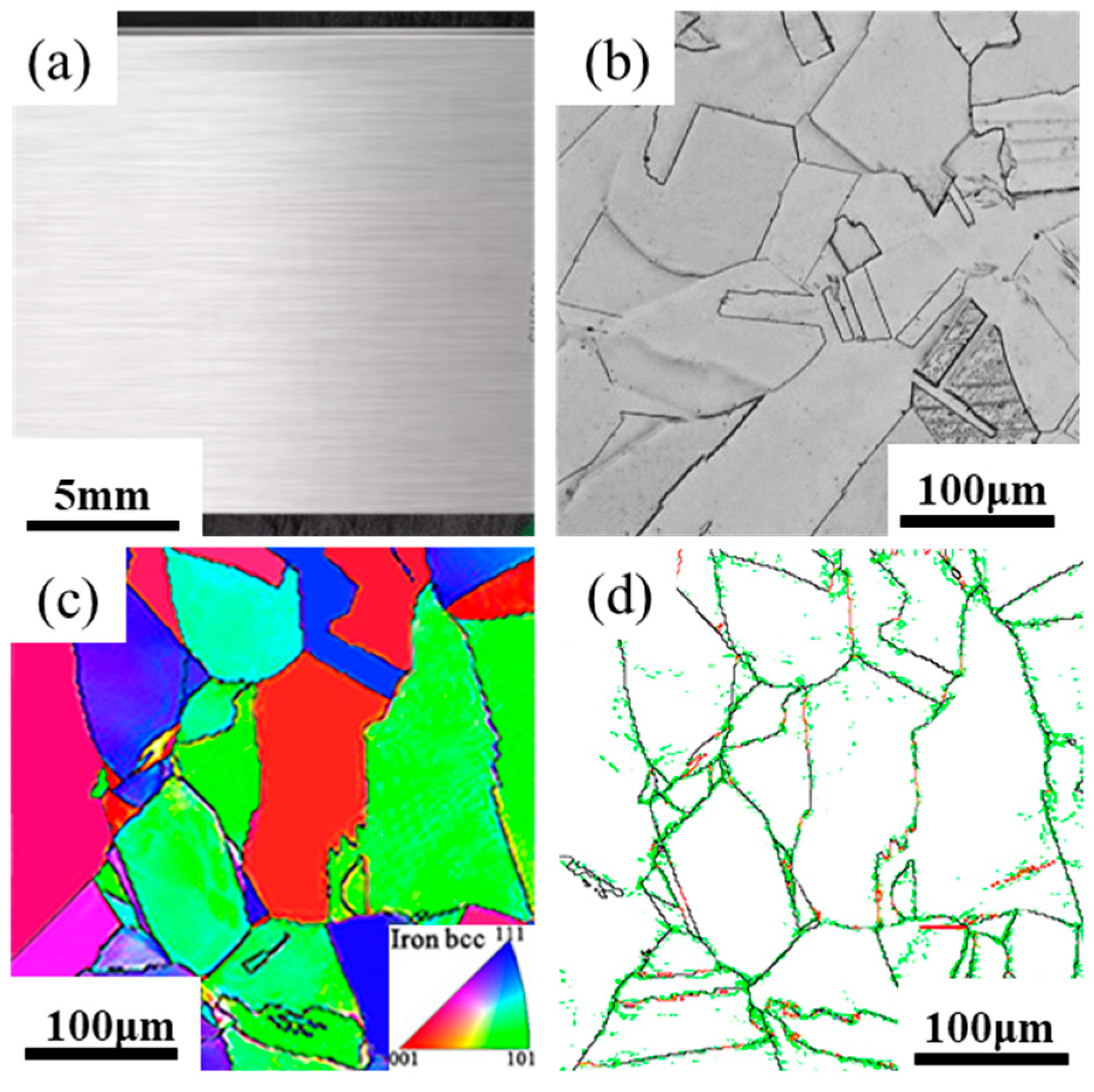 Coatings 14 00589 g002