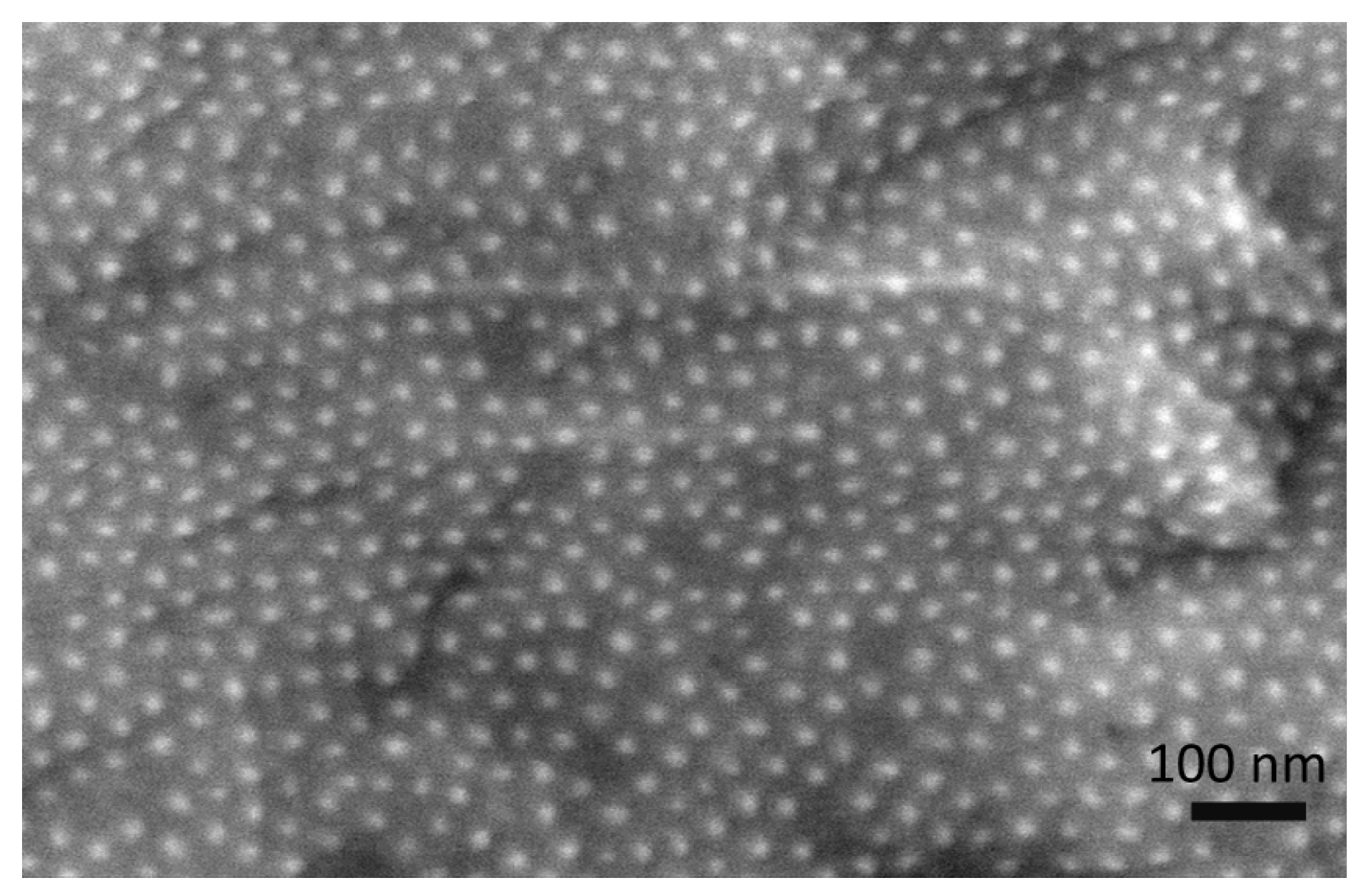 Coatings 14 00616 g001