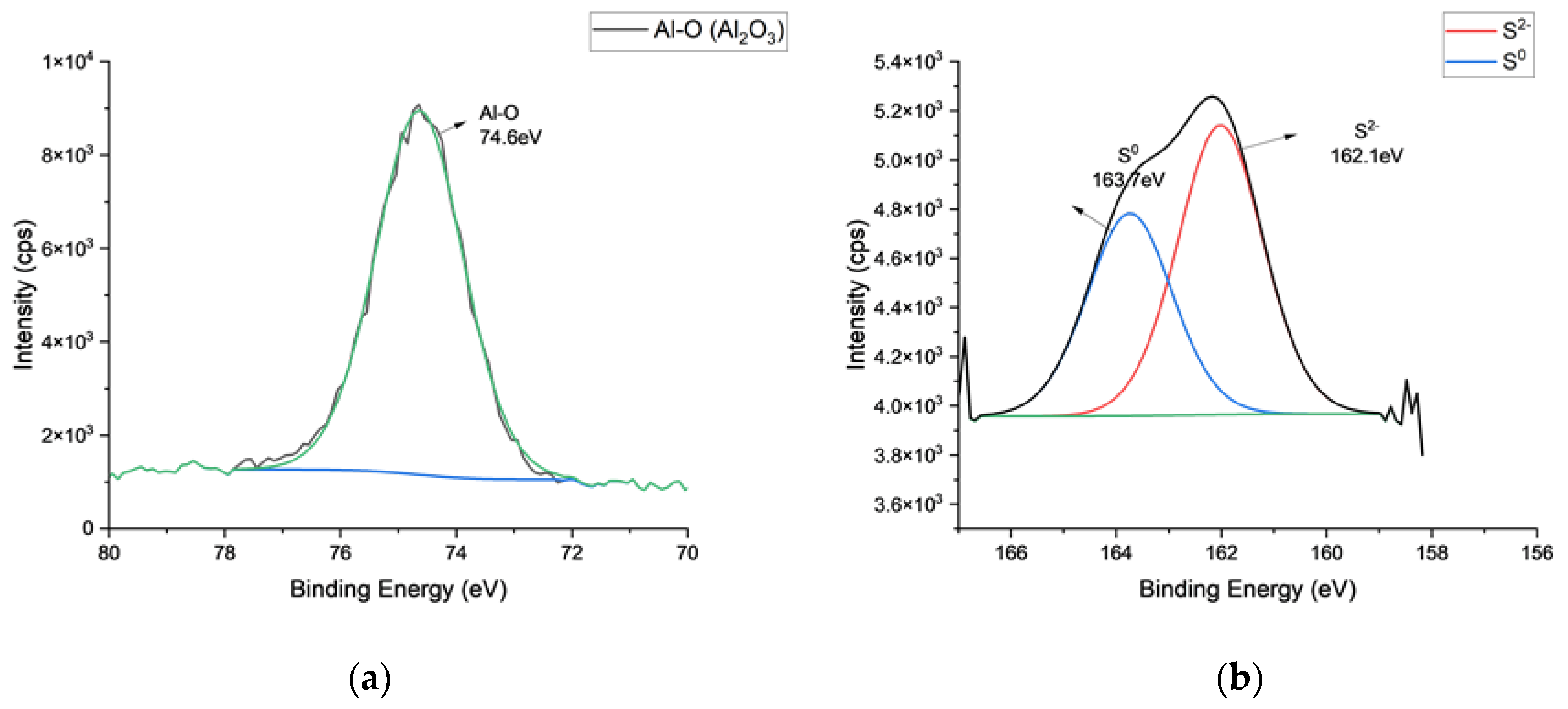 Coatings 14 00616 g002a
