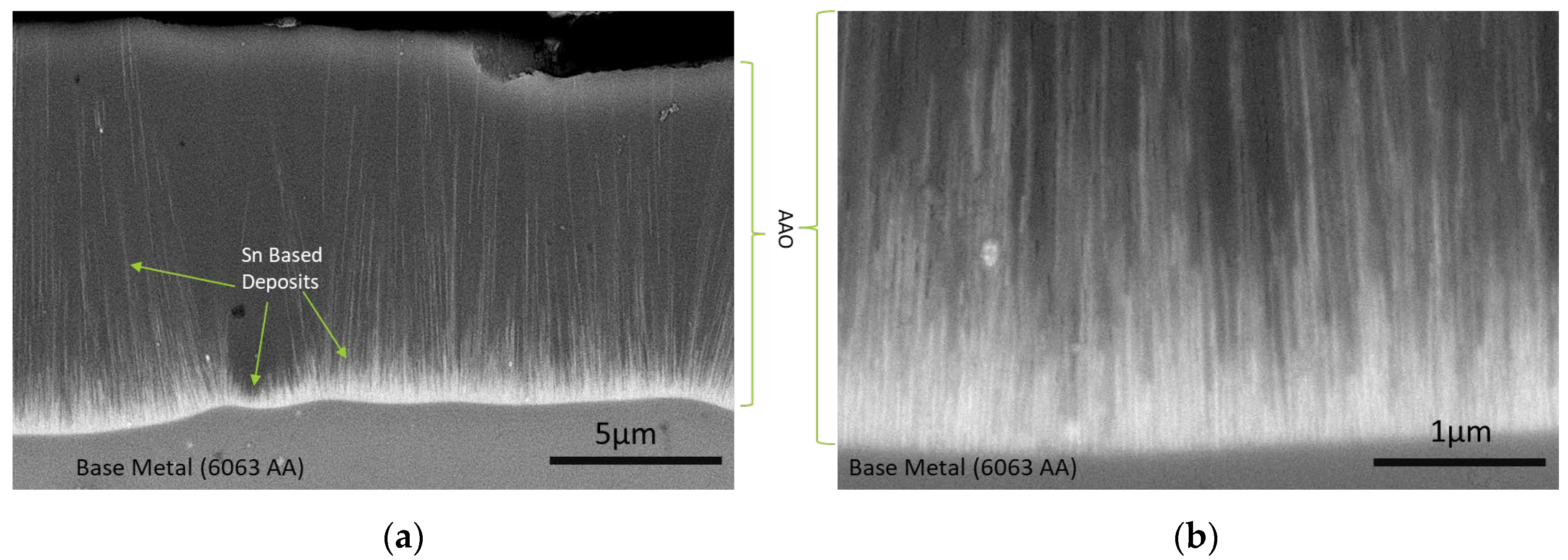 Coatings 14 00616 g003