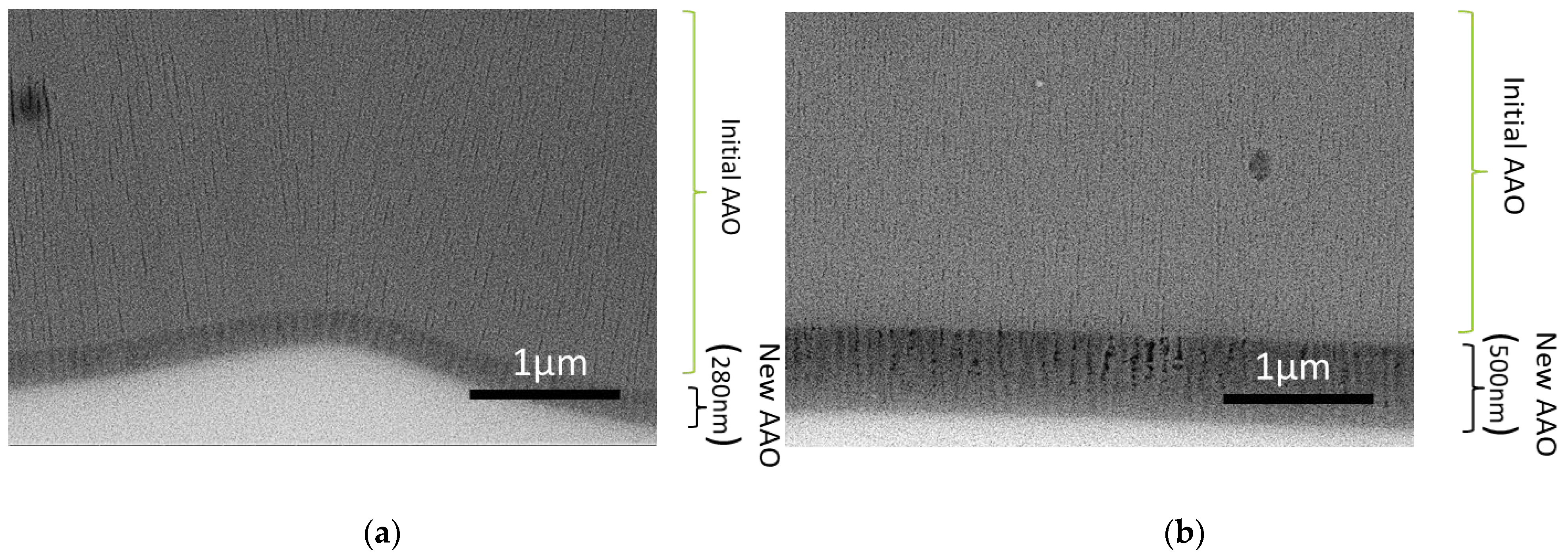 Coatings 14 00616 g006