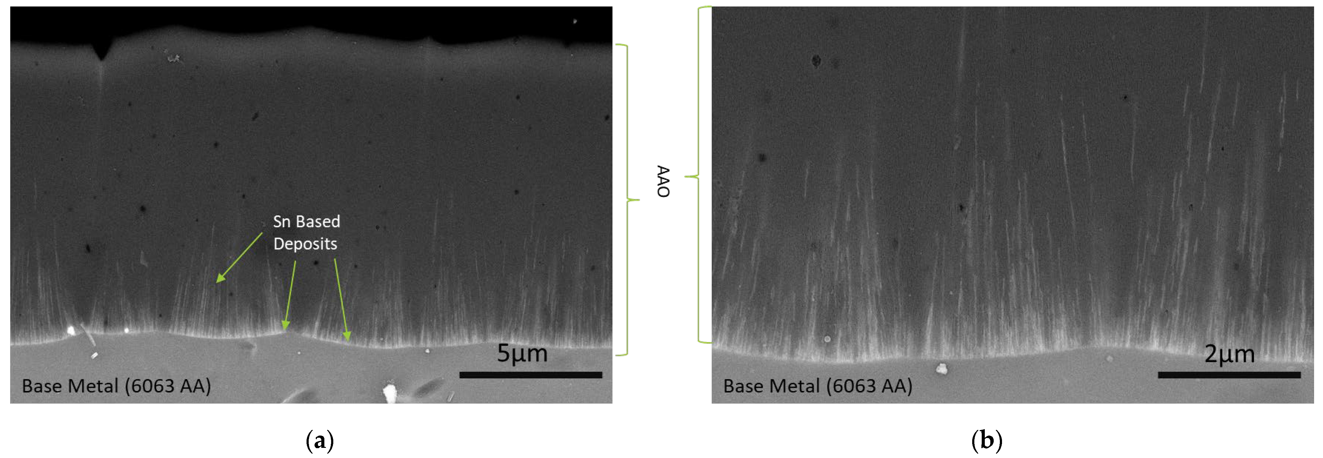 Coatings 14 00616 g008