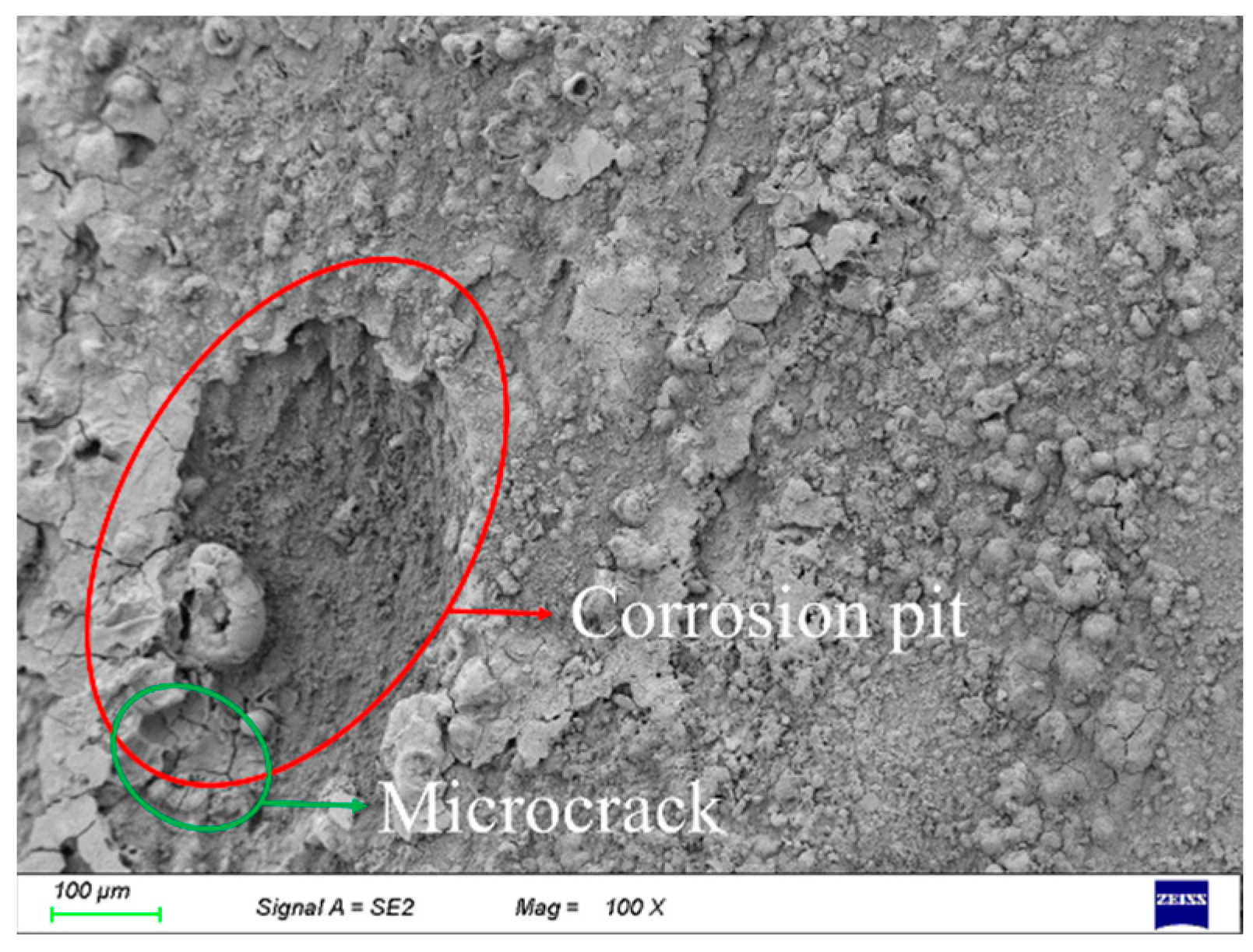 Coatings 14 00628 g008