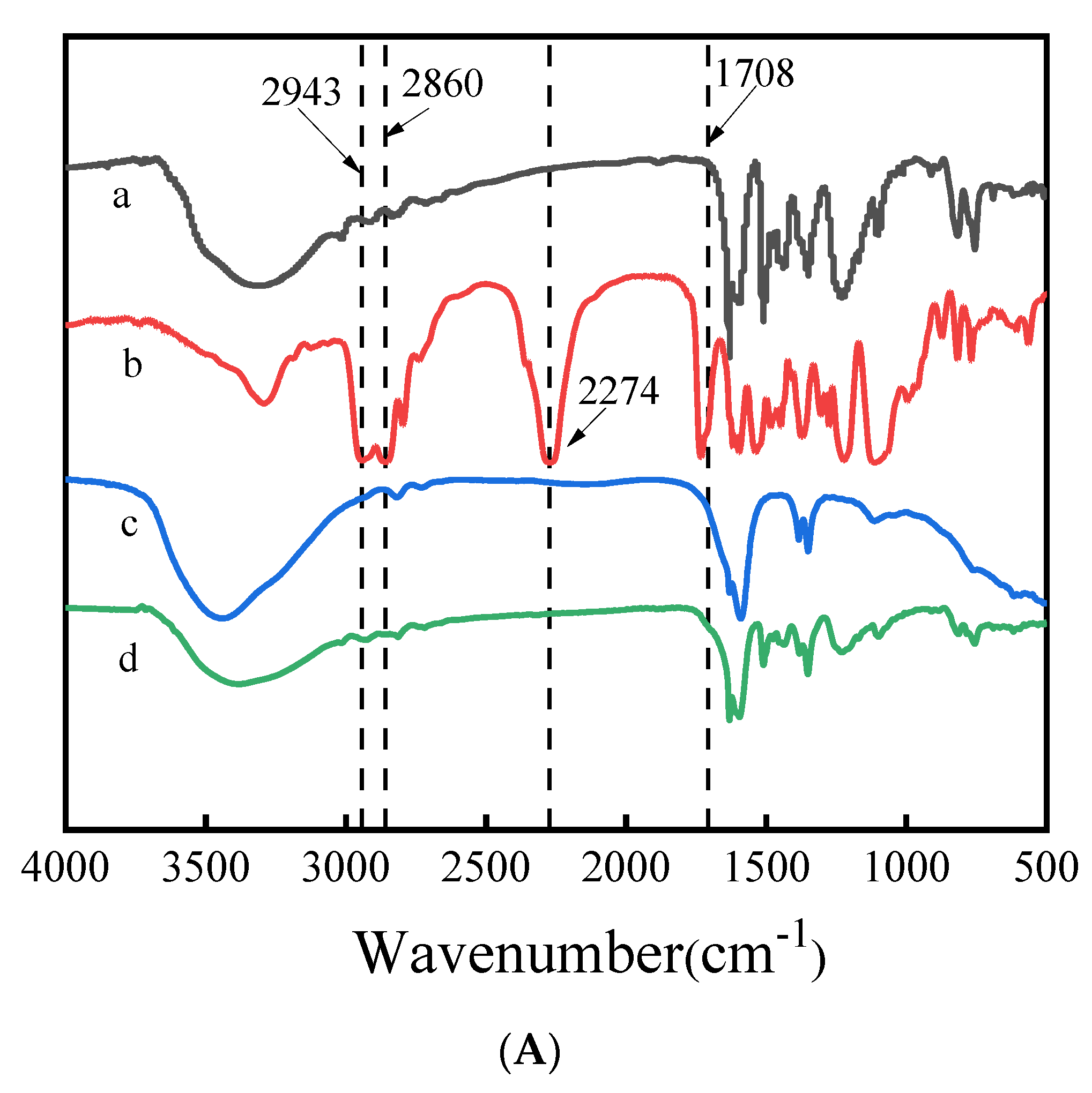 Coatings 14 00632 g002a