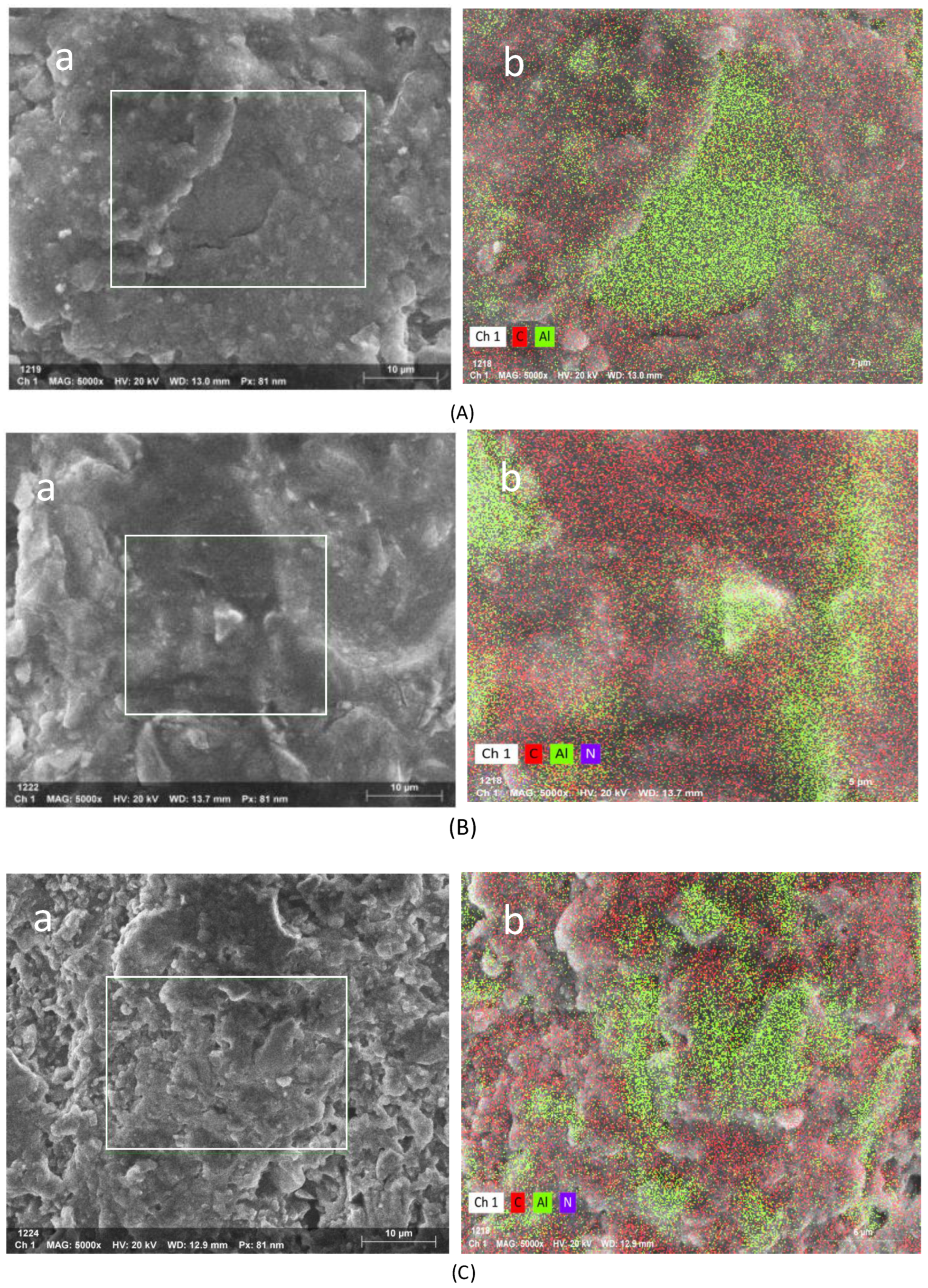 Coatings 14 00632 g011