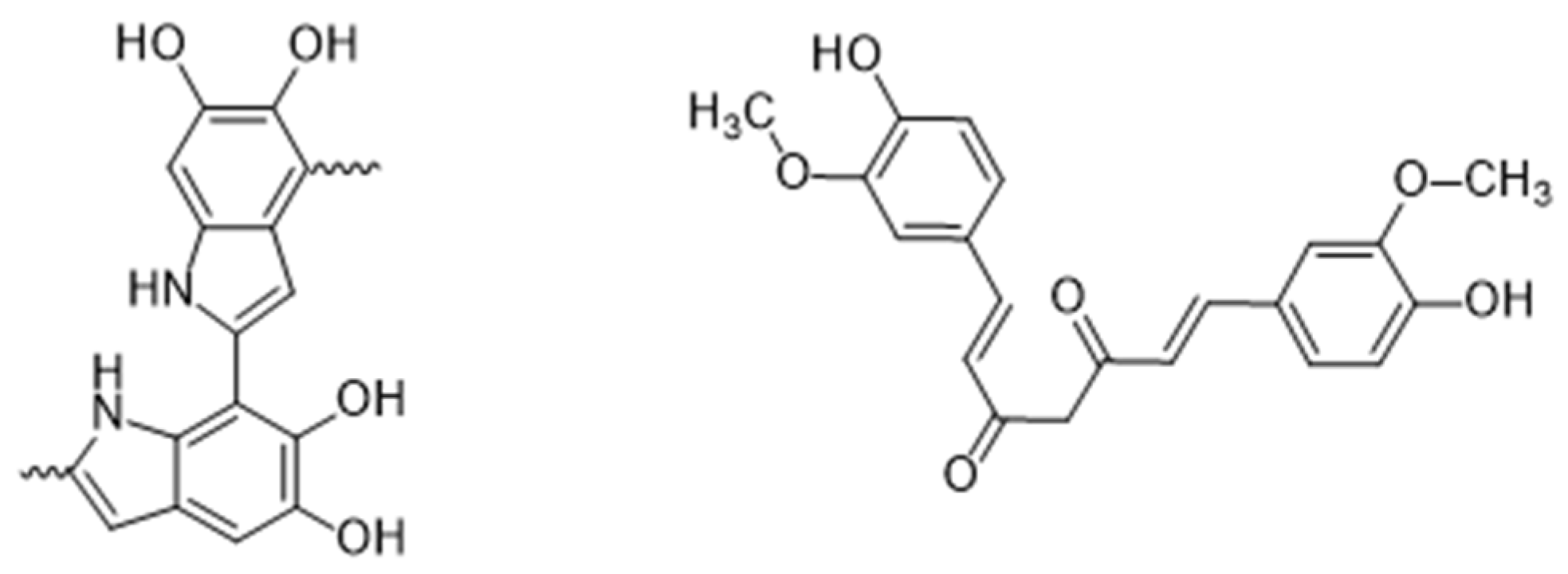 Coatings 14 00640 g001