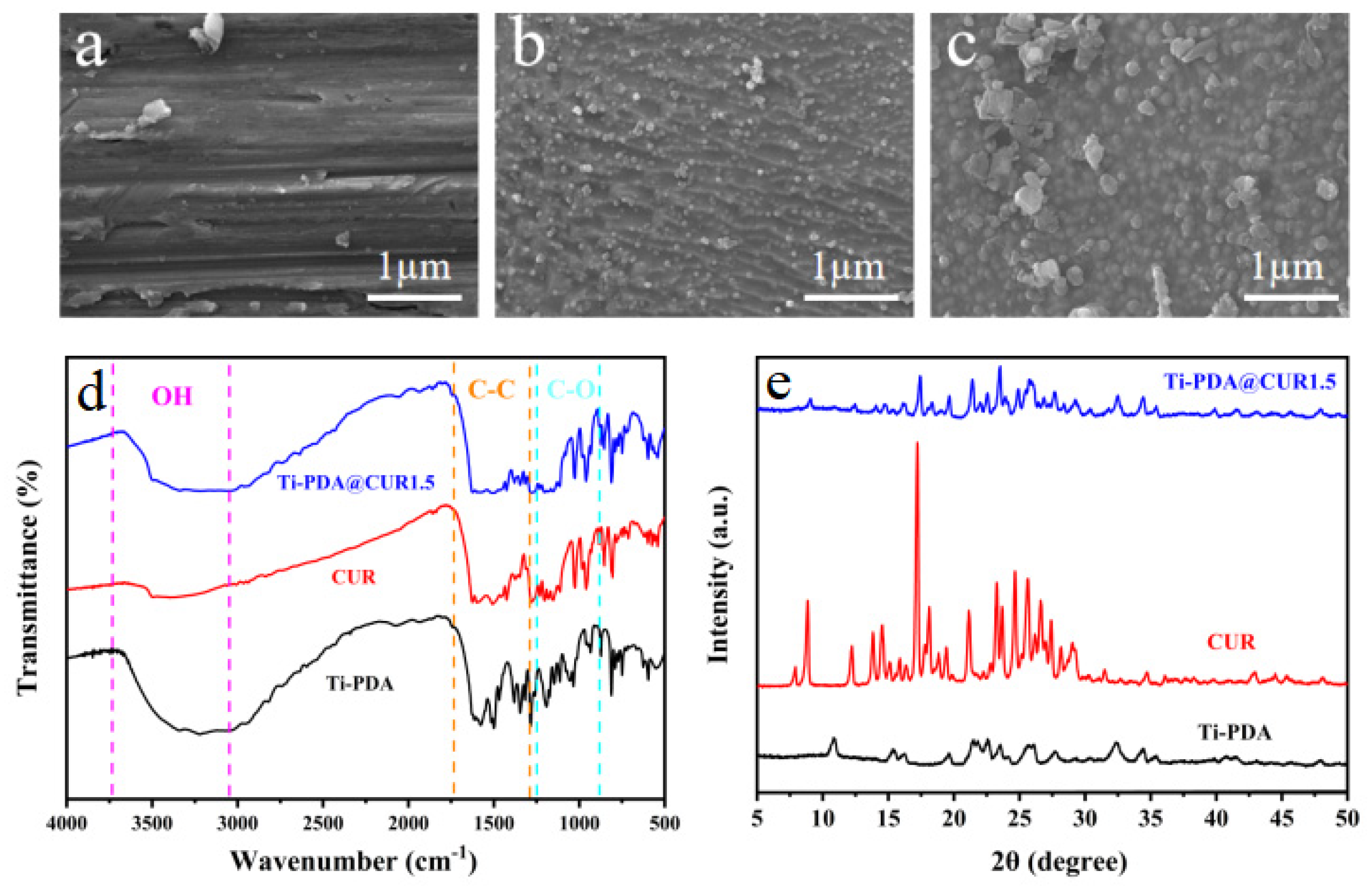 Coatings 14 00640 g003
