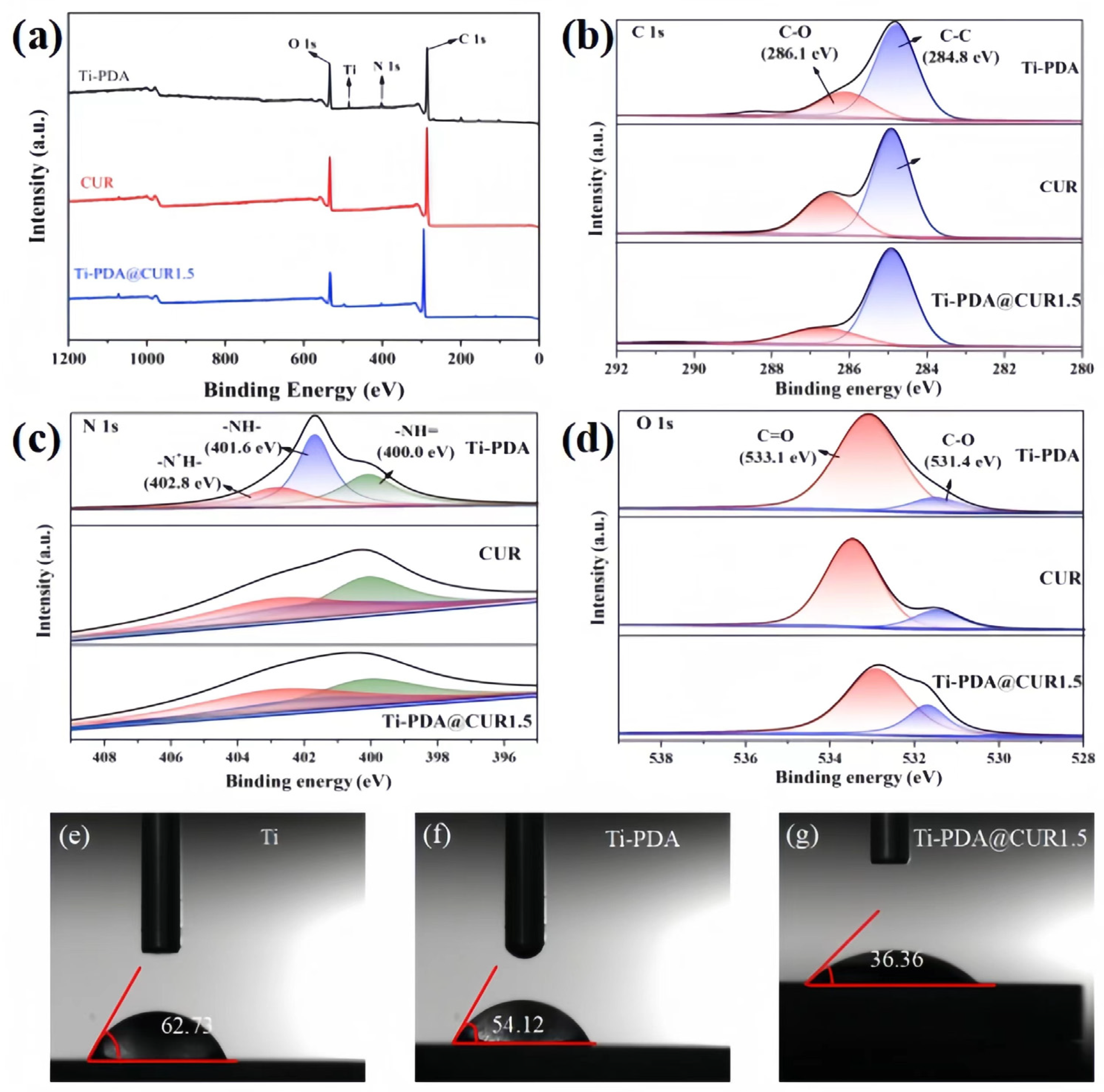 Coatings 14 00640 g004